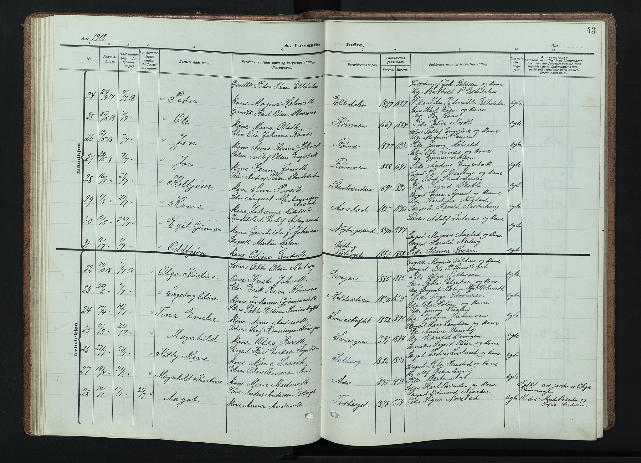 Trysil prestekontor, AV/SAH-PREST-046/H/Ha/Haa/L0015: Parish register (official) no. 15, 1913-1934, p. 43