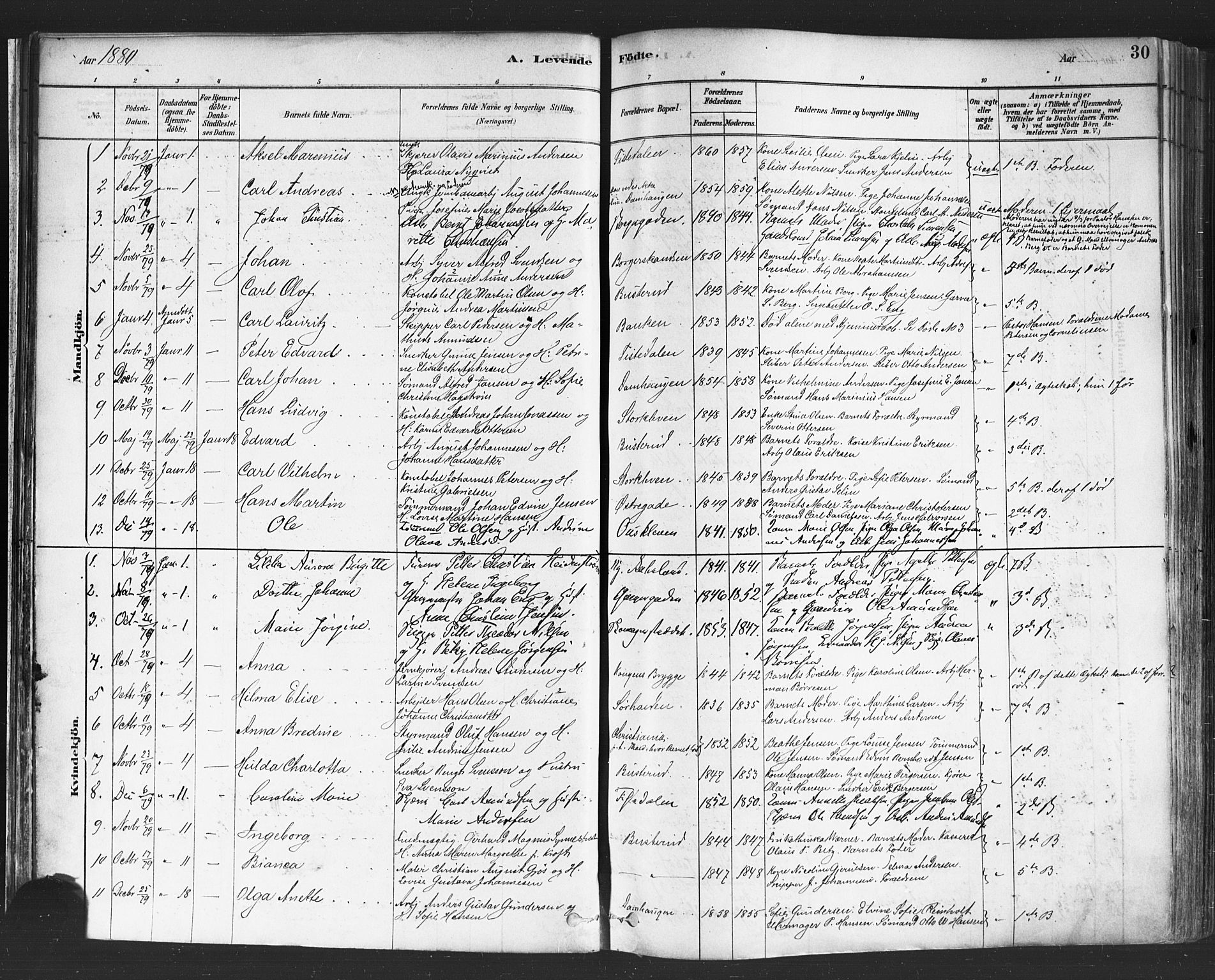 Halden prestekontor Kirkebøker, SAO/A-10909/F/Fa/L0011: Parish register (official) no. I 11, 1878-1889, p. 30