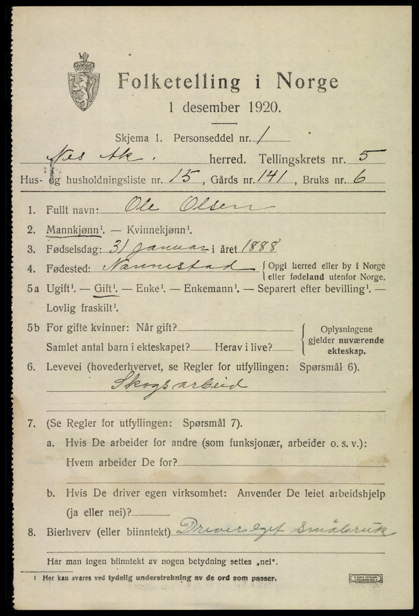 SAO, 1920 census for Nes, 1920, p. 6602