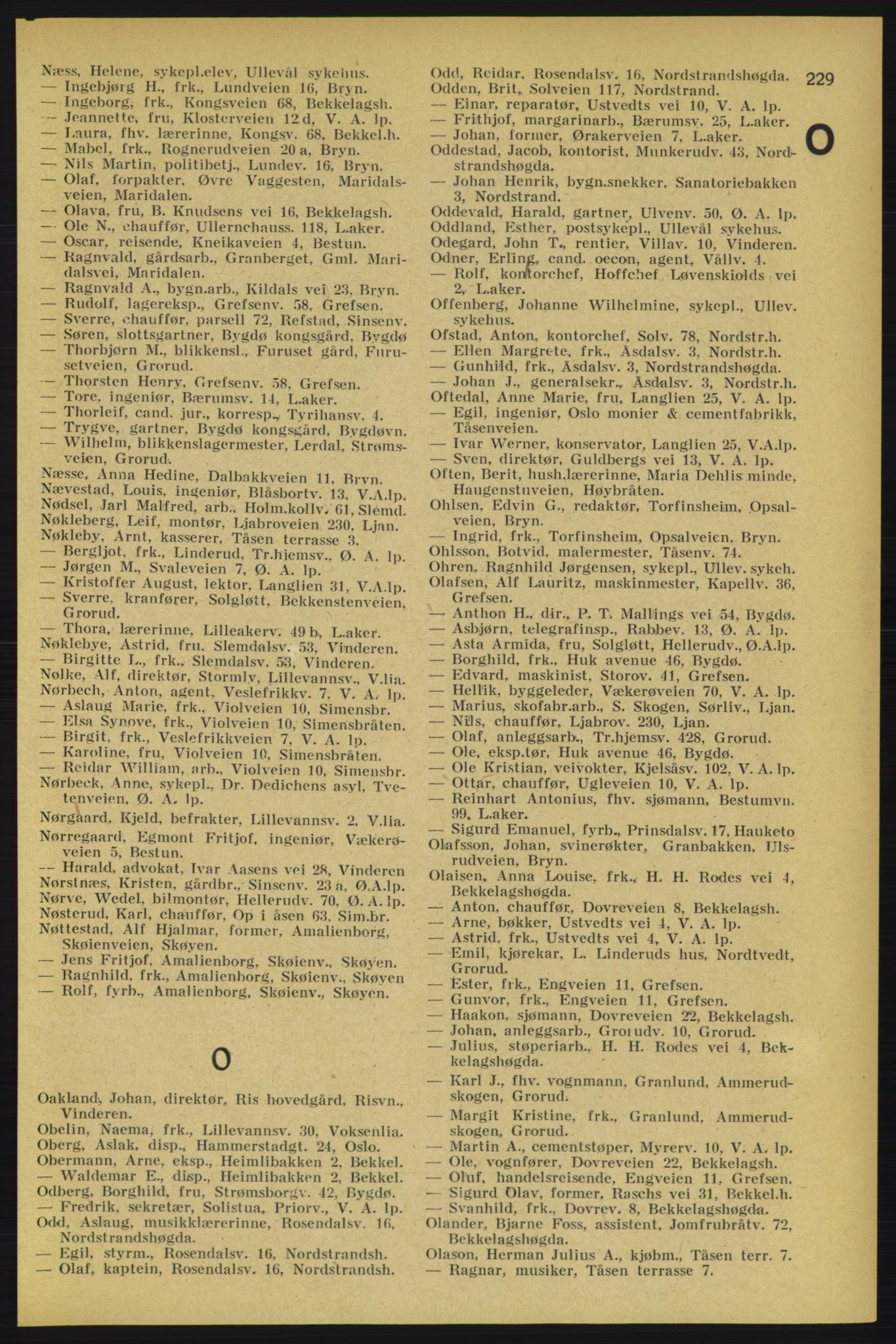 Aker adressebok/adressekalender, PUBL/001/A/005: Aker adressebok, 1934-1935, p. 229