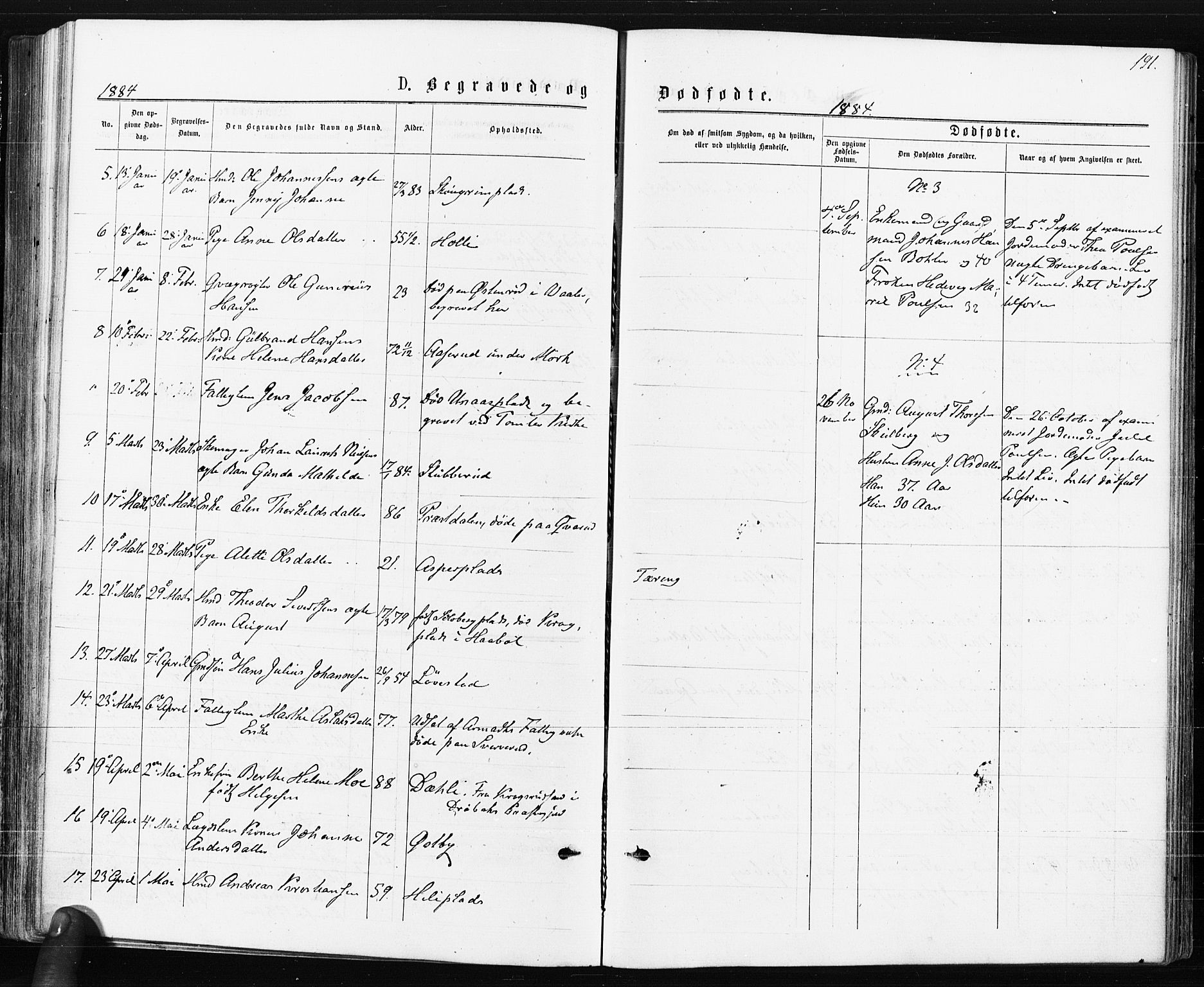 Spydeberg prestekontor Kirkebøker, AV/SAO-A-10924/F/Fa/L0007: Parish register (official) no. I 7, 1875-1885, p. 191