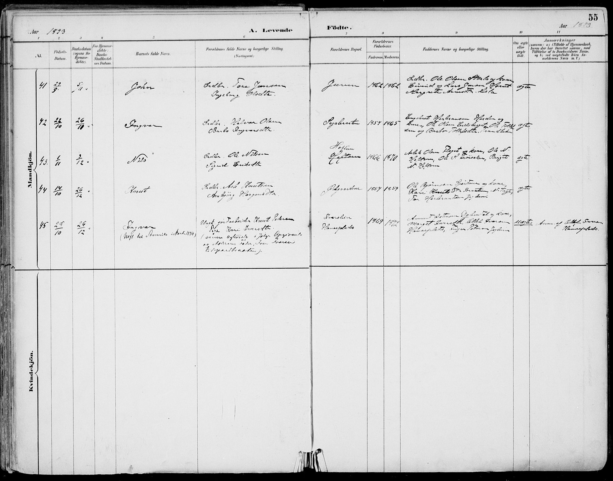 Gol kirkebøker, AV/SAKO-A-226/F/Fa/L0005: Parish register (official) no. I 5, 1887-1900, p. 55