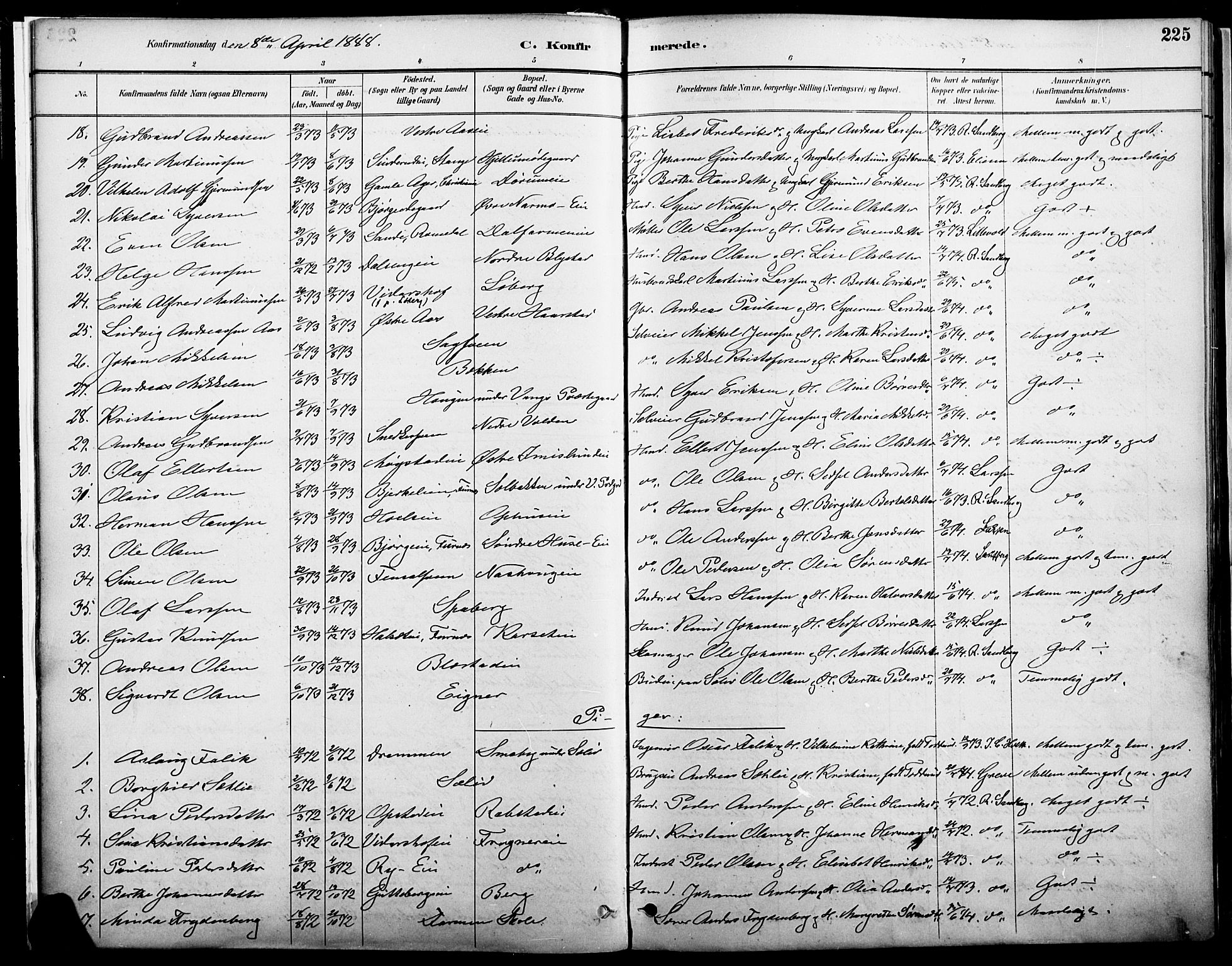 Vang prestekontor, Hedmark, AV/SAH-PREST-008/H/Ha/Haa/L0019A: Parish register (official) no. 19, 1886-1900, p. 225