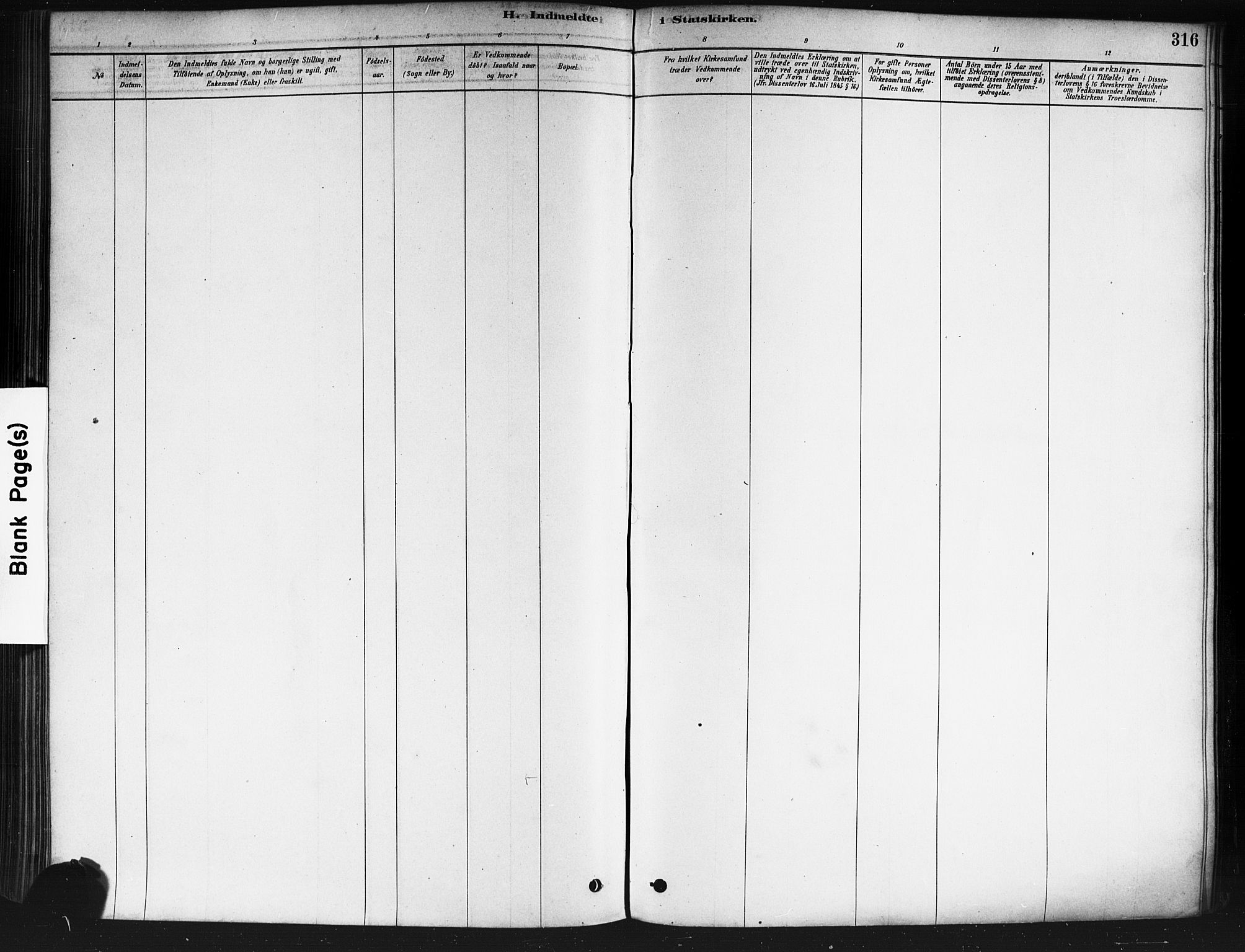 Nedre Eiker kirkebøker, AV/SAKO-A-612/F/Fa/L0002: Parish register (official) no. 2, 1878-1885, p. 316