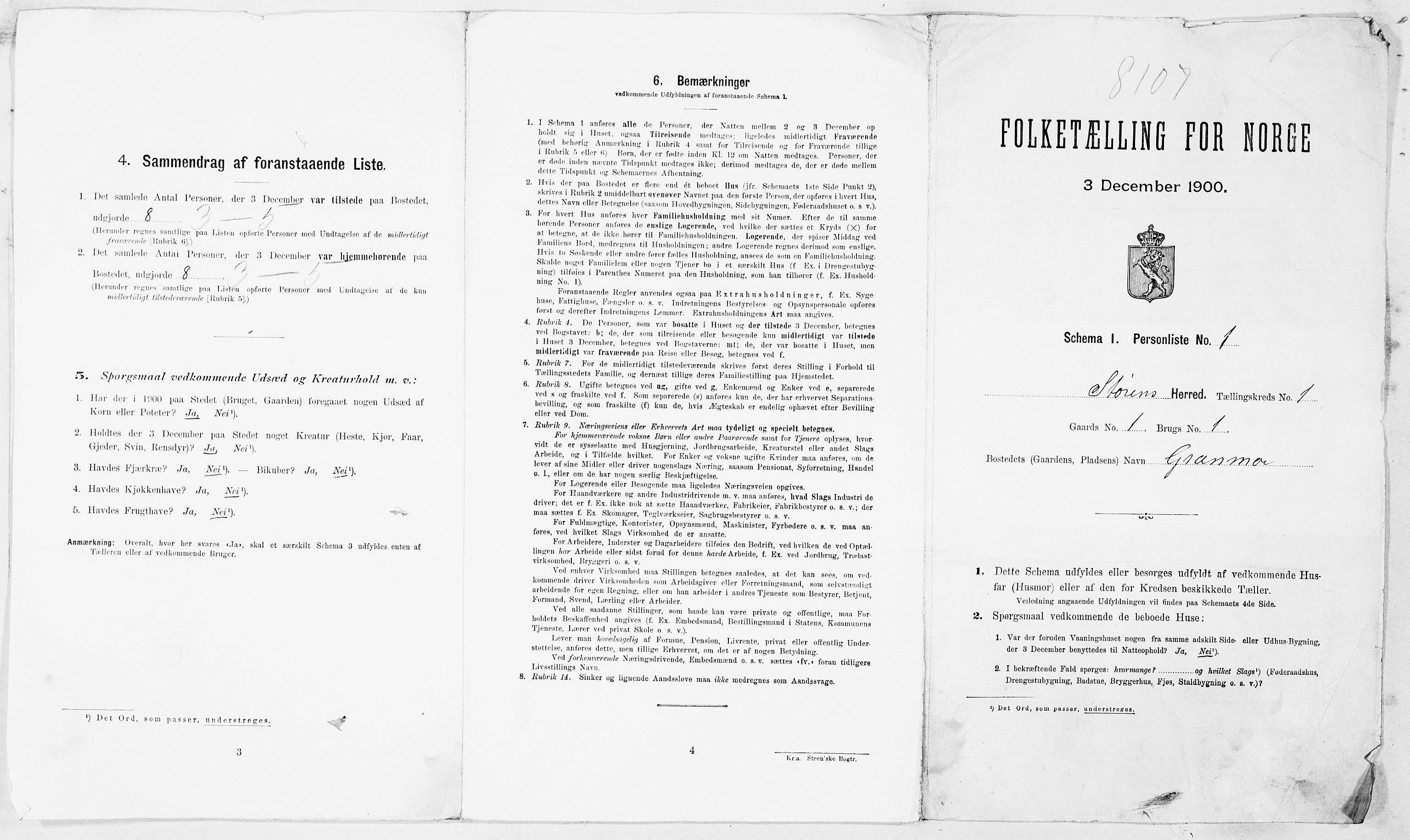 SAT, 1900 census for Støren, 1900, p. 16