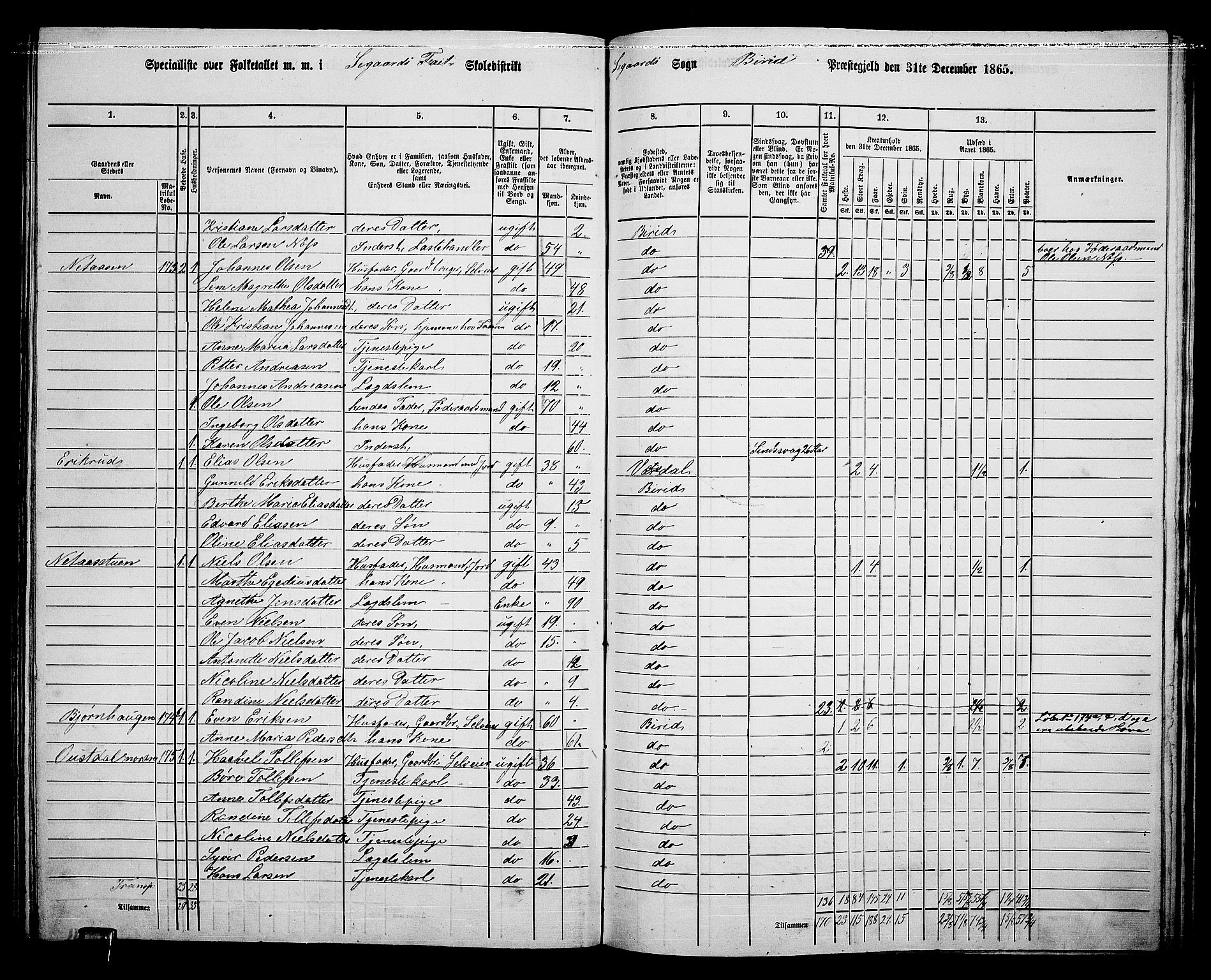 RA, 1865 census for Biri, 1865, p. 165