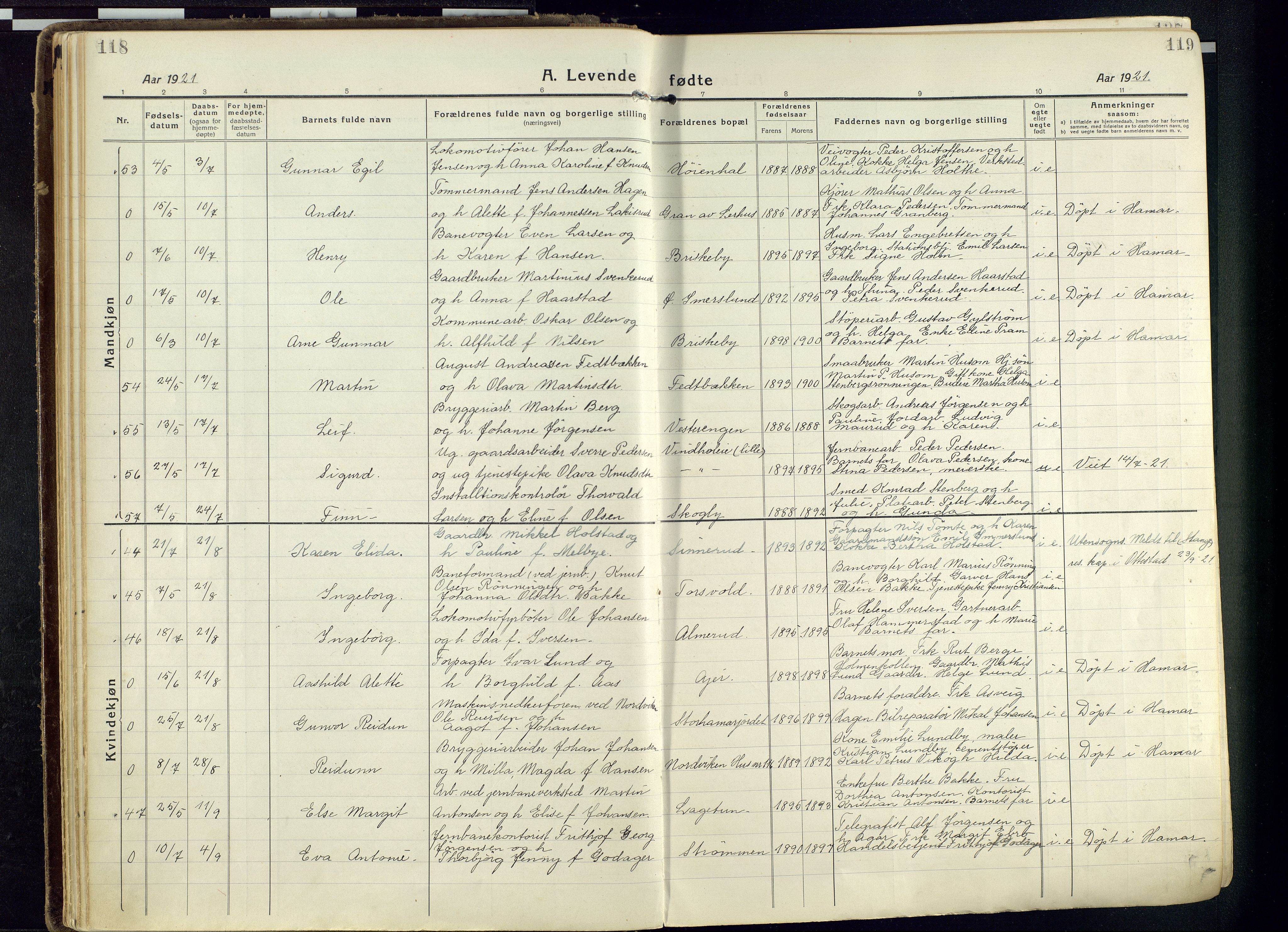 Vang prestekontor, Hedmark, SAH/PREST-008/H/Ha/Haa/L0022: Parish register (official) no. 22, 1918-1944, p. 118-119