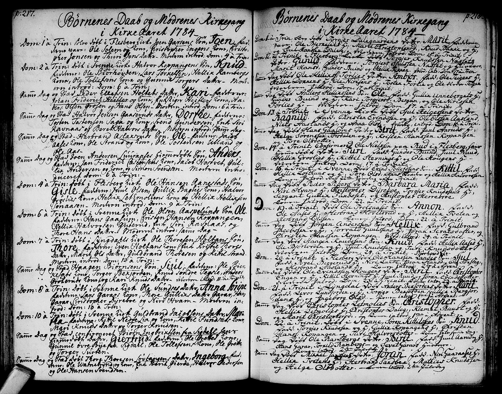 Flesberg kirkebøker, AV/SAKO-A-18/F/Fa/L0003: Parish register (official) no. I 3, 1748-1790, p. 217-218