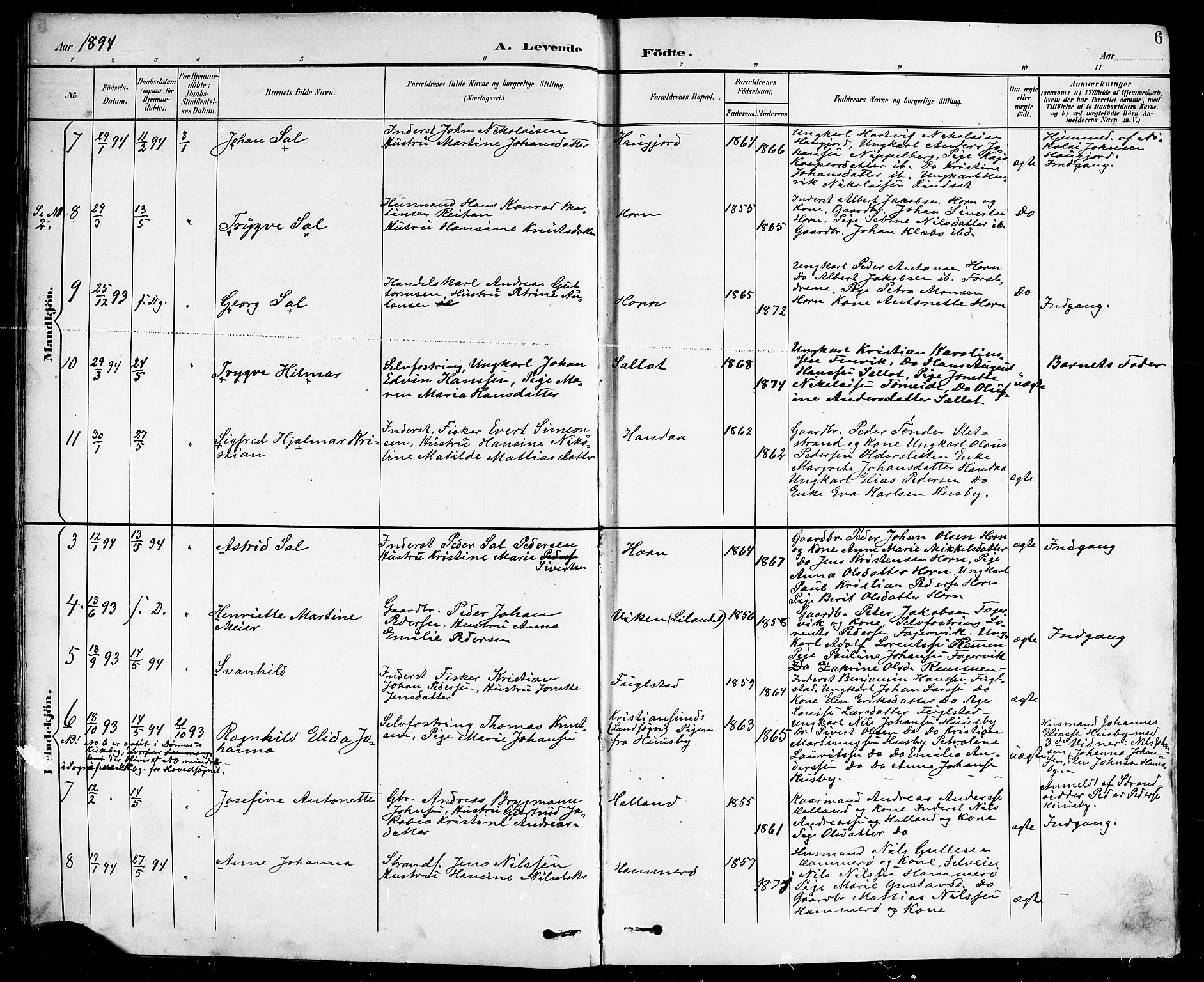 Ministerialprotokoller, klokkerbøker og fødselsregistre - Nordland, SAT/A-1459/838/L0559: Parish register (copy) no. 838C06, 1893-1910, p. 6
