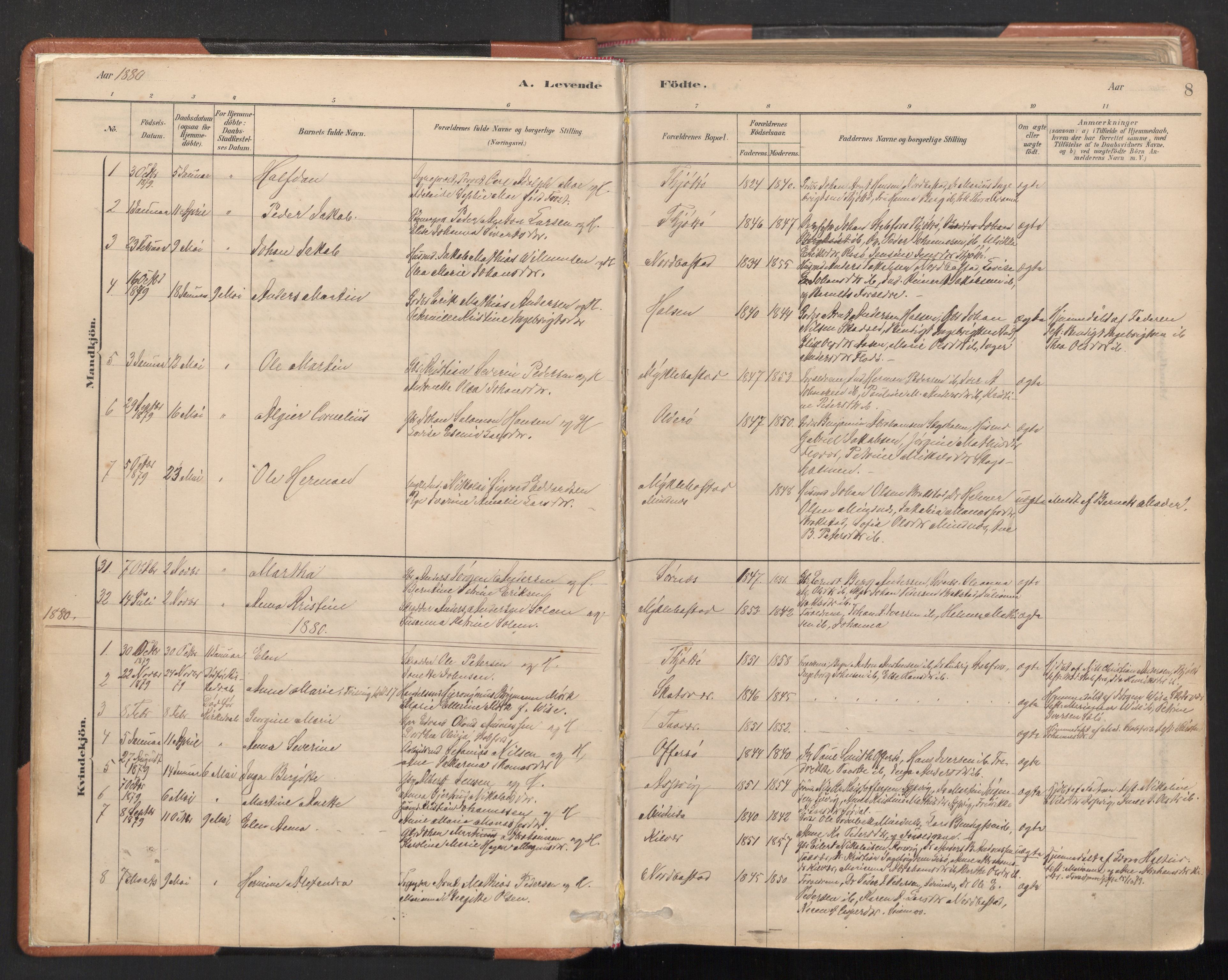 Ministerialprotokoller, klokkerbøker og fødselsregistre - Nordland, SAT/A-1459/817/L0264: Parish register (official) no. 817A04, 1878-1907, p. 8