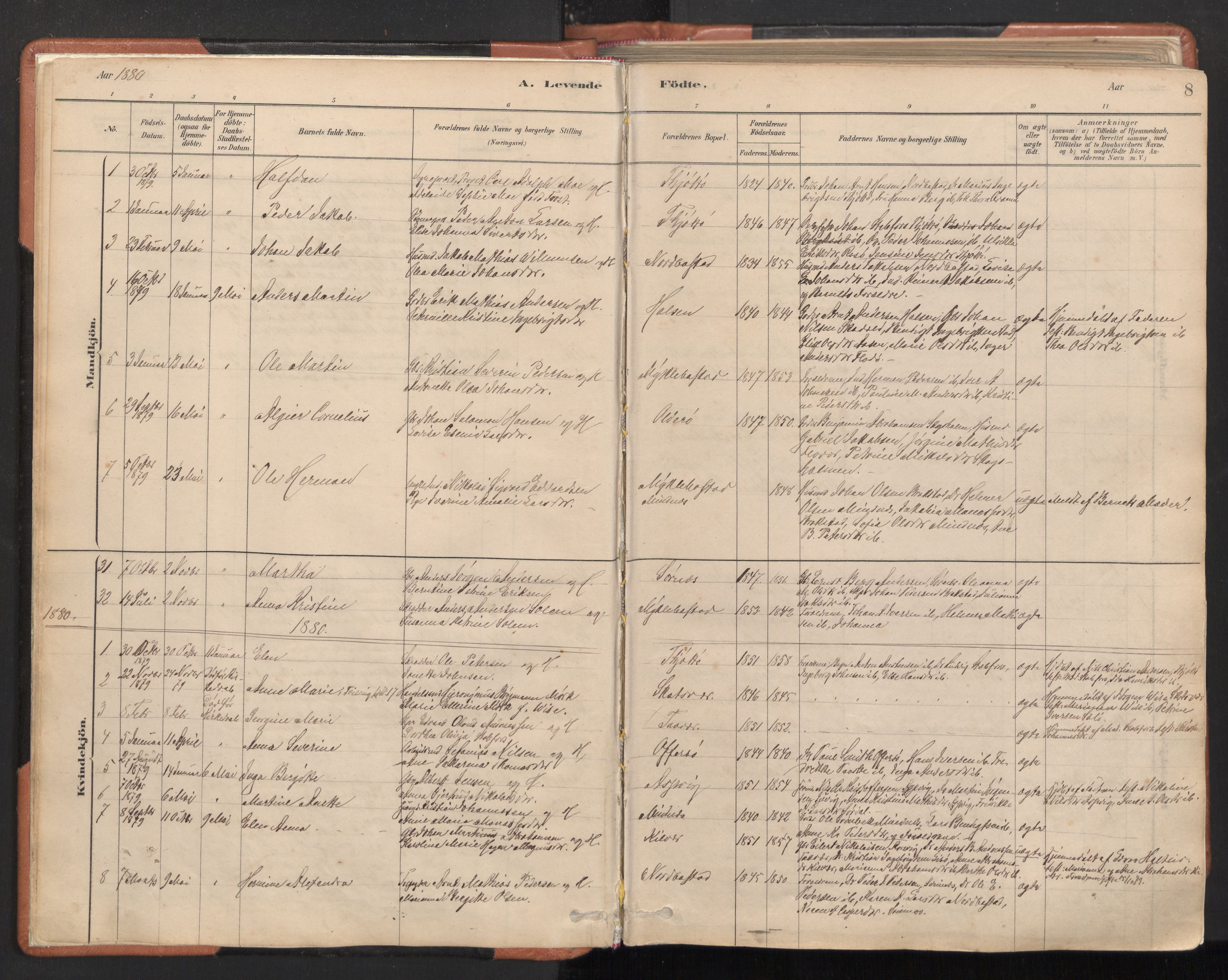 Ministerialprotokoller, klokkerbøker og fødselsregistre - Nordland, AV/SAT-A-1459/817/L0264: Parish register (official) no. 817A04, 1878-1907, p. 8