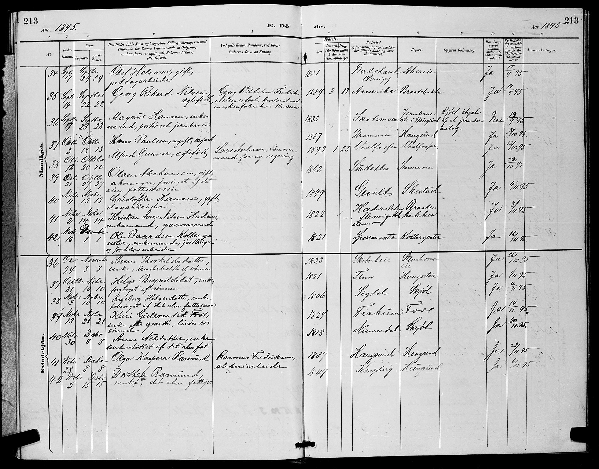Eiker kirkebøker, SAKO/A-4/G/Ga/L0007: Parish register (copy) no. I 7, 1893-1902, p. 213