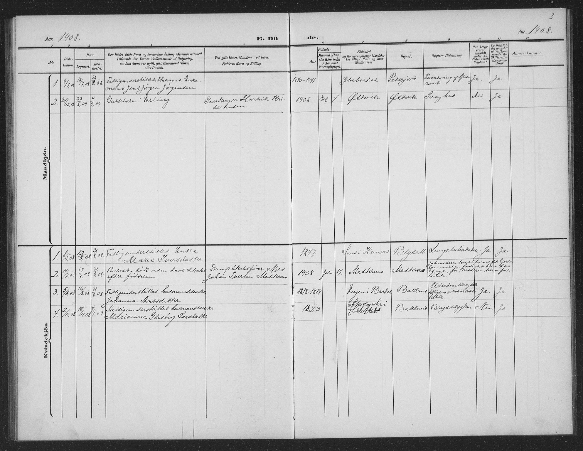 Ministerialprotokoller, klokkerbøker og fødselsregistre - Nordland, AV/SAT-A-1459/833/L0502: Parish register (copy) no. 833C01, 1906-1934, p. 3