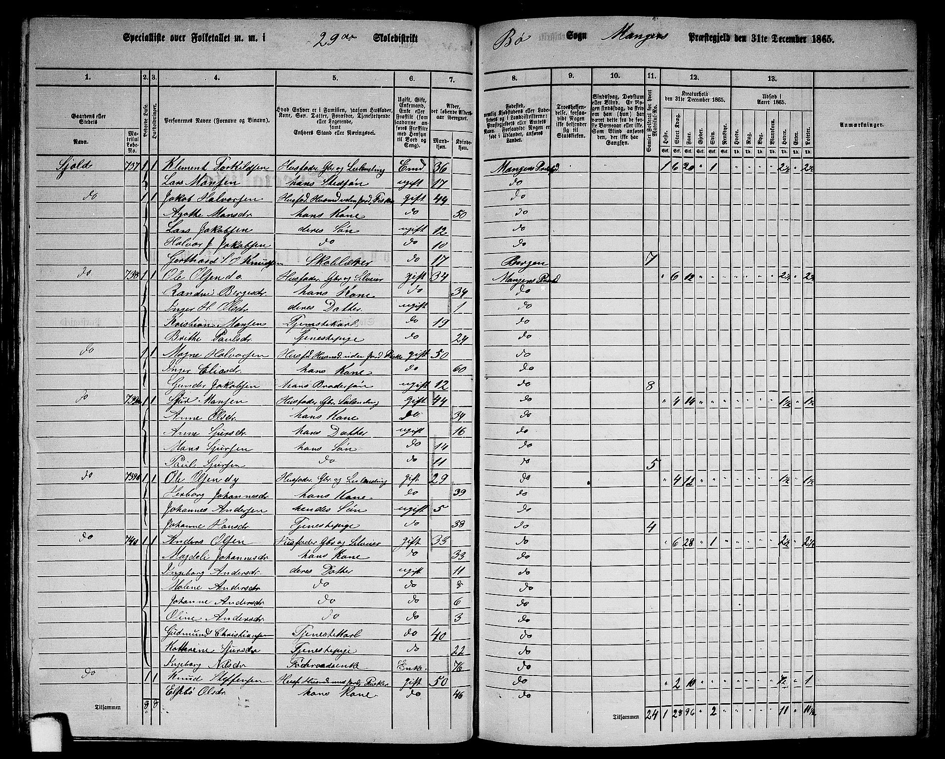 RA, 1865 census for Manger, 1865, p. 223