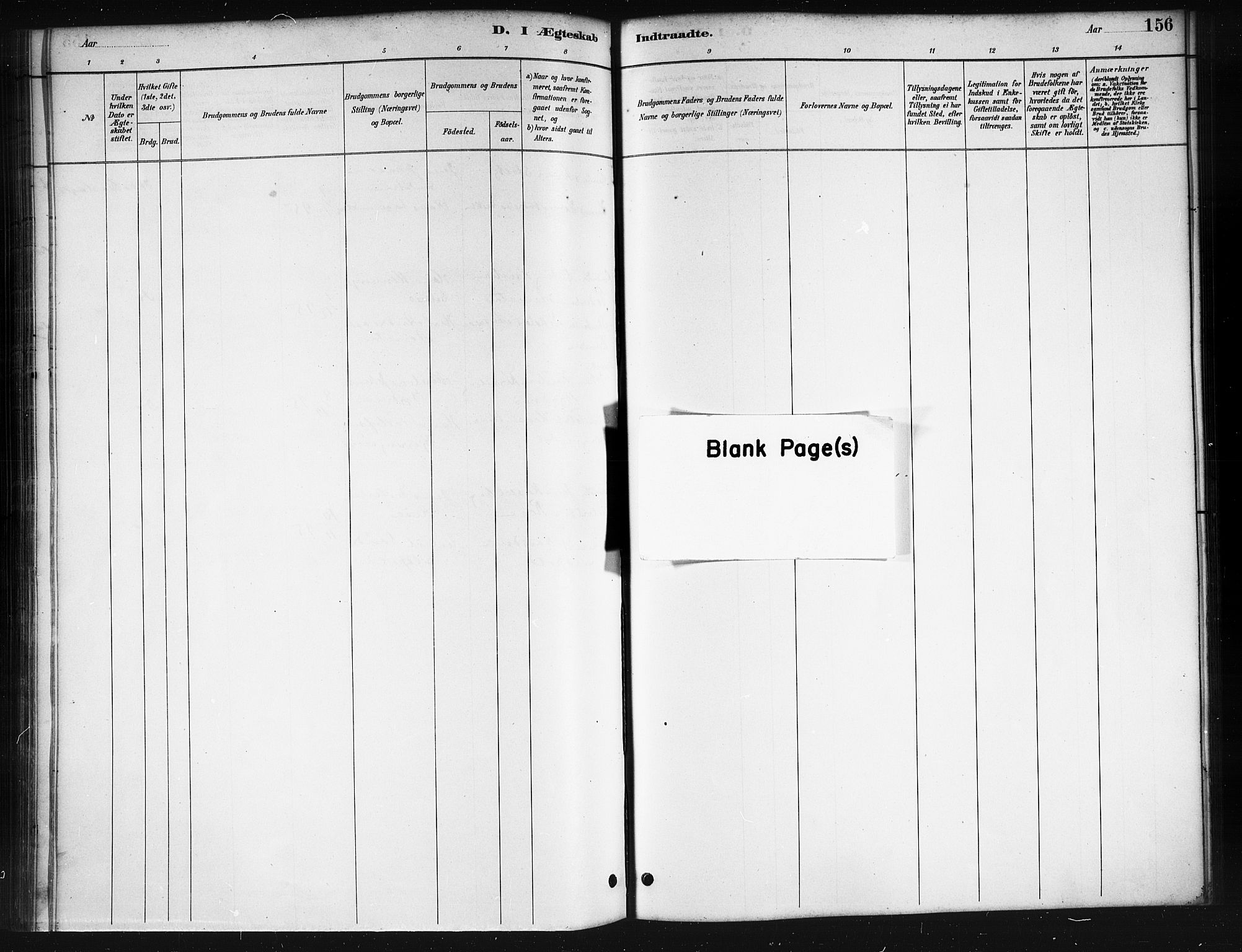 Ministerialprotokoller, klokkerbøker og fødselsregistre - Nordland, AV/SAT-A-1459/895/L1382: Parish register (copy) no. 895C04, 1885-1896, p. 156