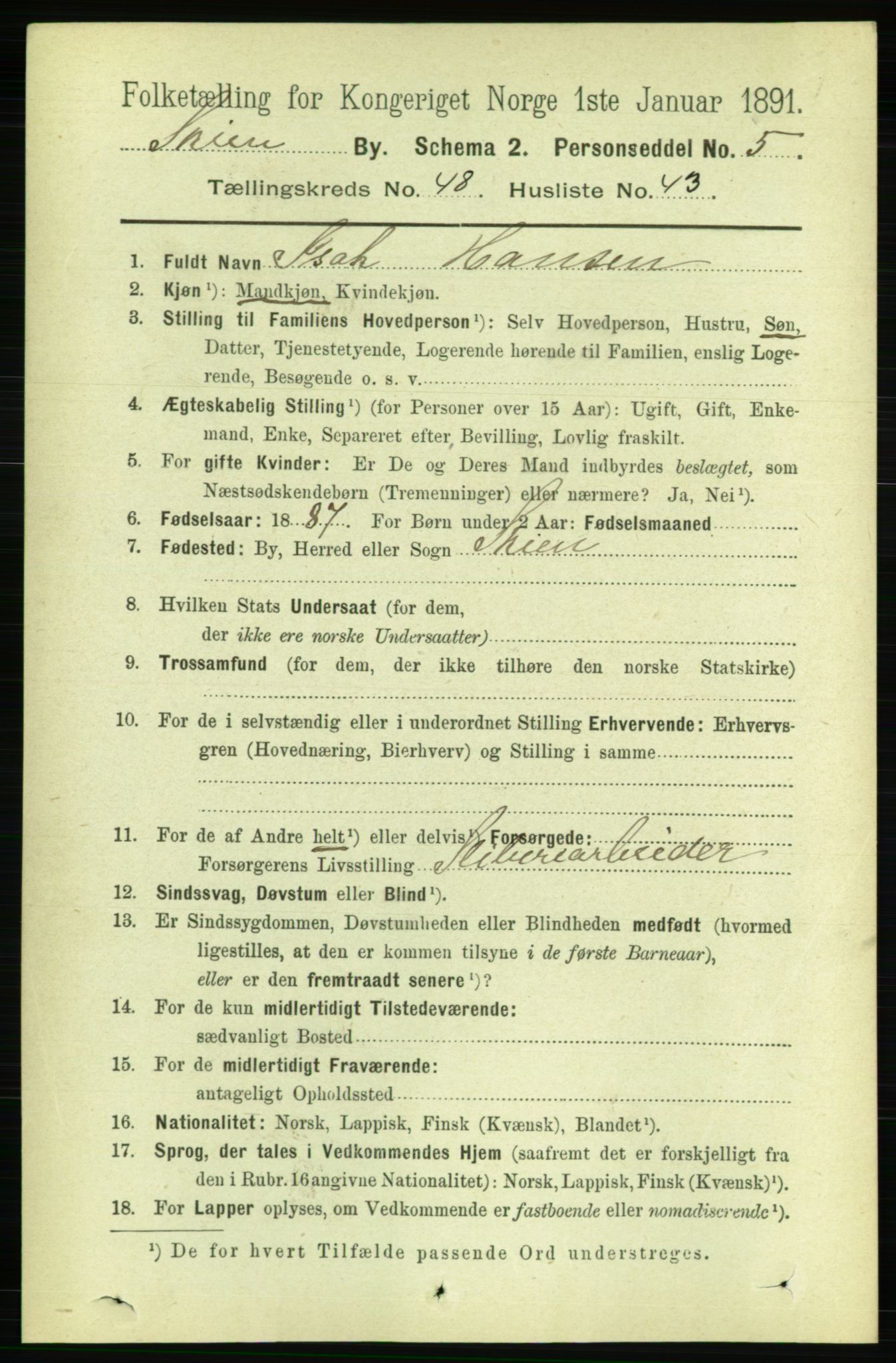 RA, 1891 census for 0806 Skien, 1891, p. 10195