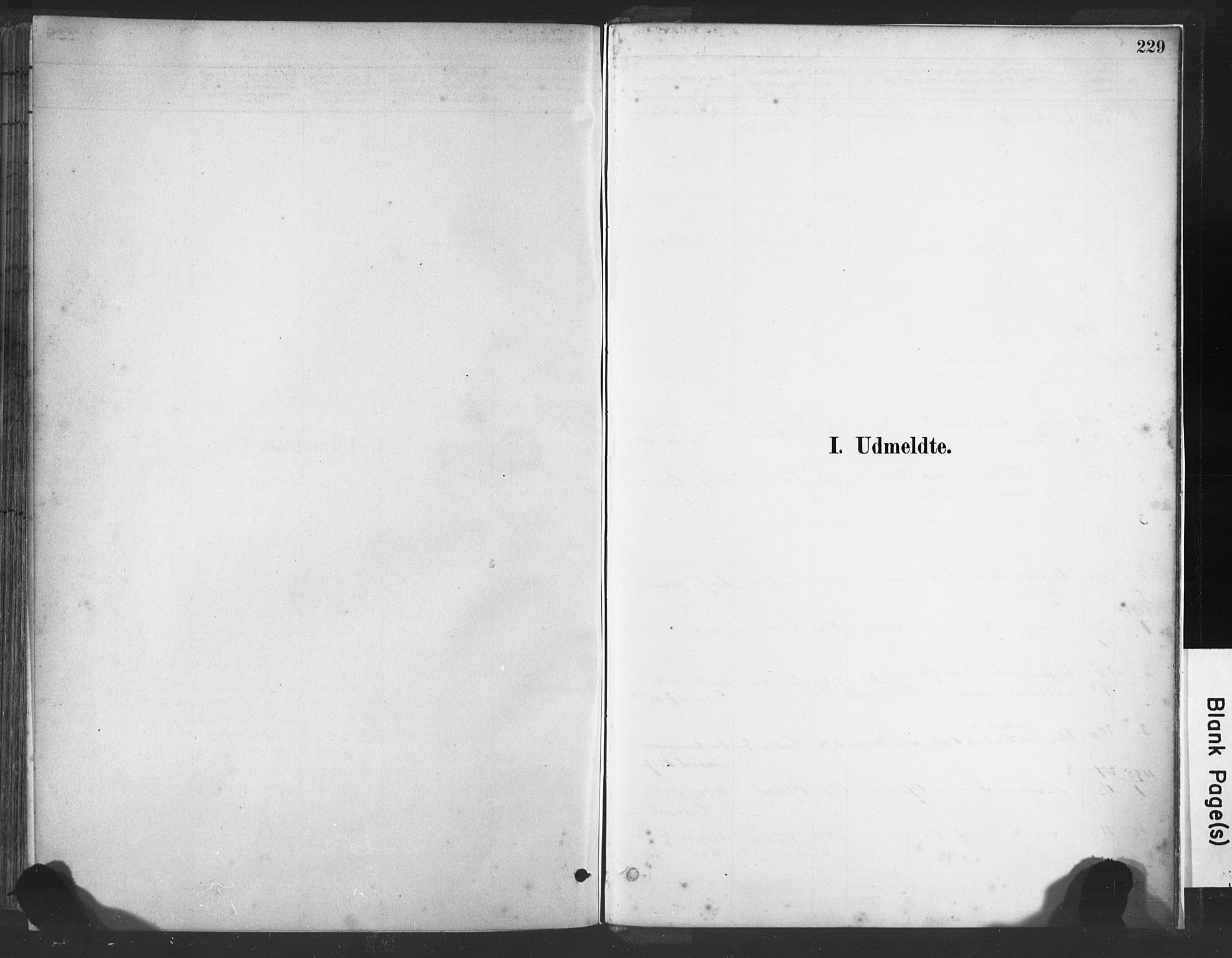 Lye sokneprestkontor, AV/SAST-A-101794/001/30BA/L0010: Parish register (official) no. A 10, 1881-1896, p. 229