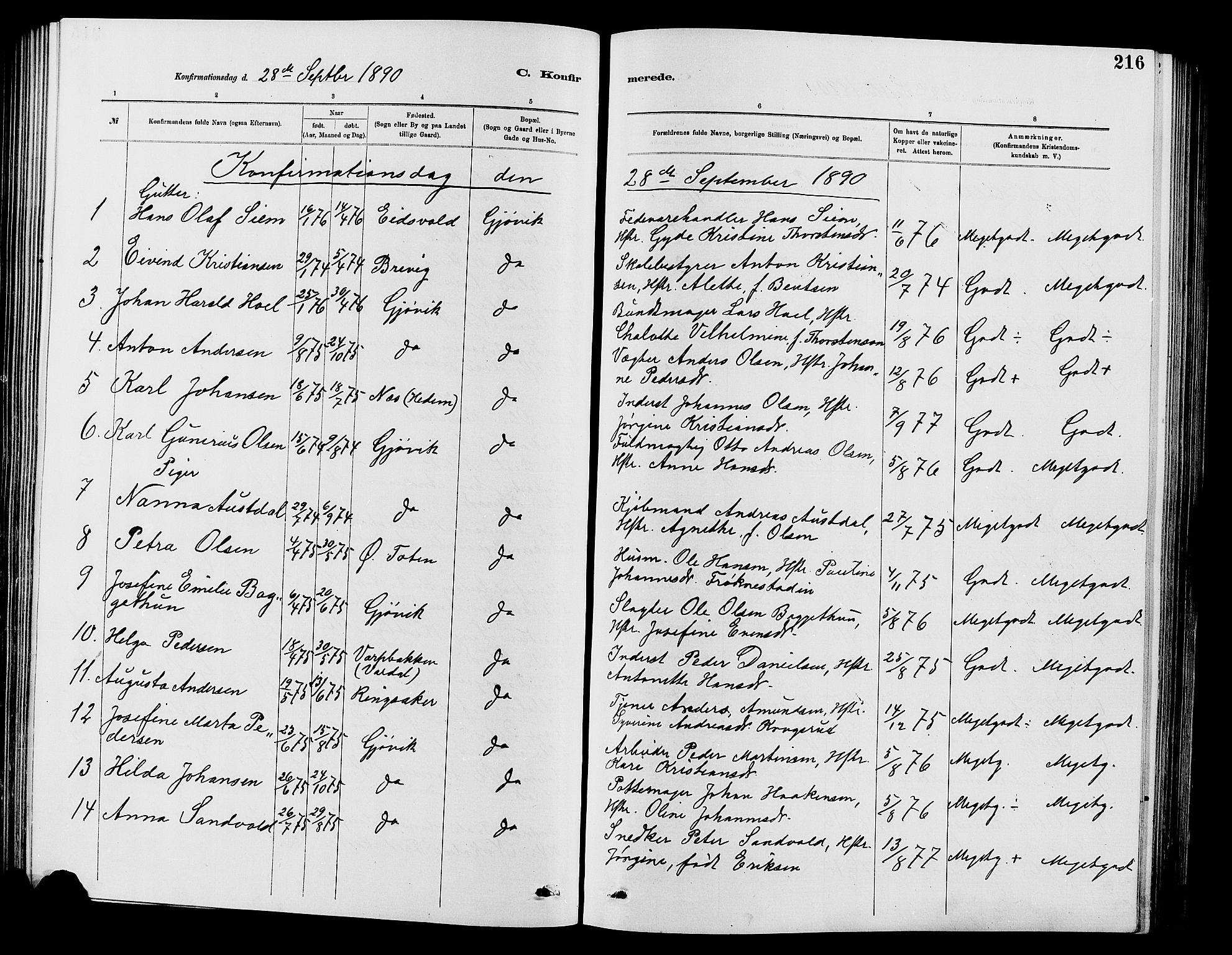 Vardal prestekontor, SAH/PREST-100/H/Ha/Hab/L0007: Parish register (copy) no. 7 /2, 1881-1895, p. 216