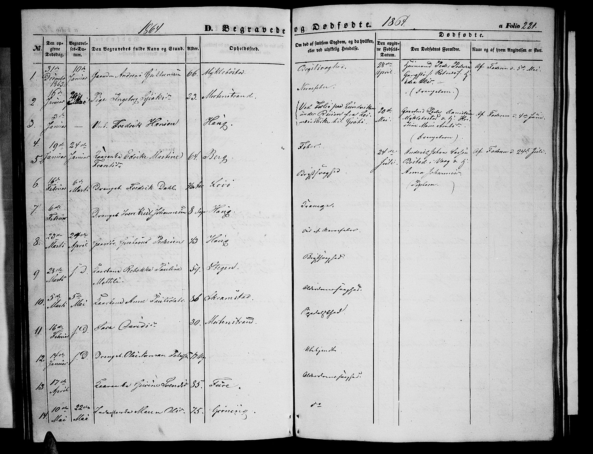 Ministerialprotokoller, klokkerbøker og fødselsregistre - Nordland, SAT/A-1459/855/L0814: Parish register (copy) no. 855C03, 1851-1864, p. 221