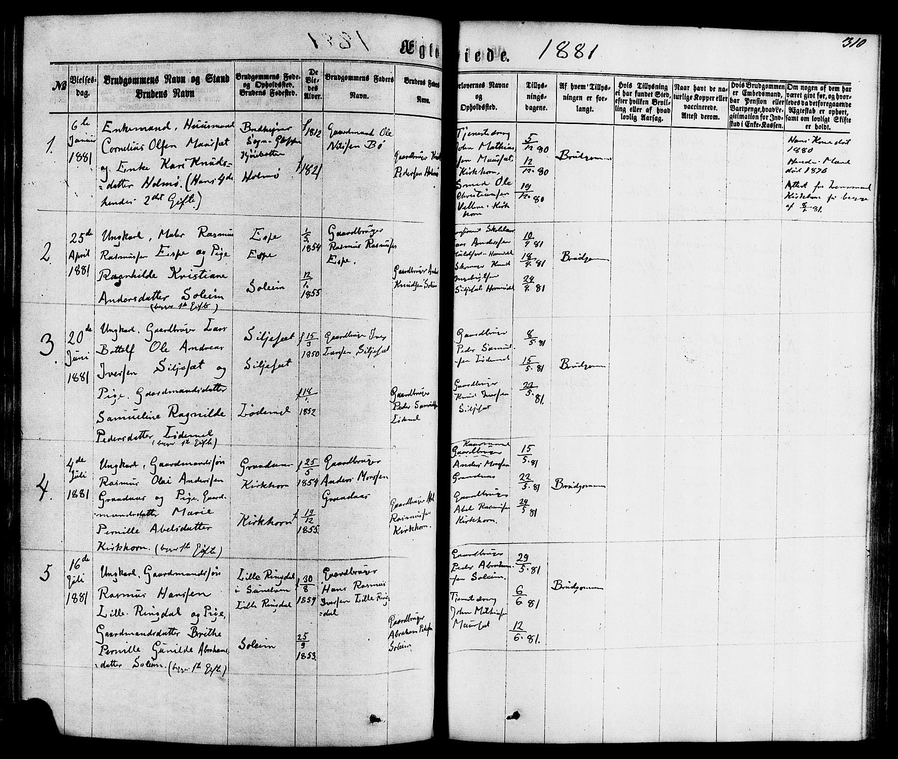 Hornindal sokneprestembete, AV/SAB-A-82401/H/Haa/Haaa/L0002: Parish register (official) no. A 2, 1867-1884, p. 310