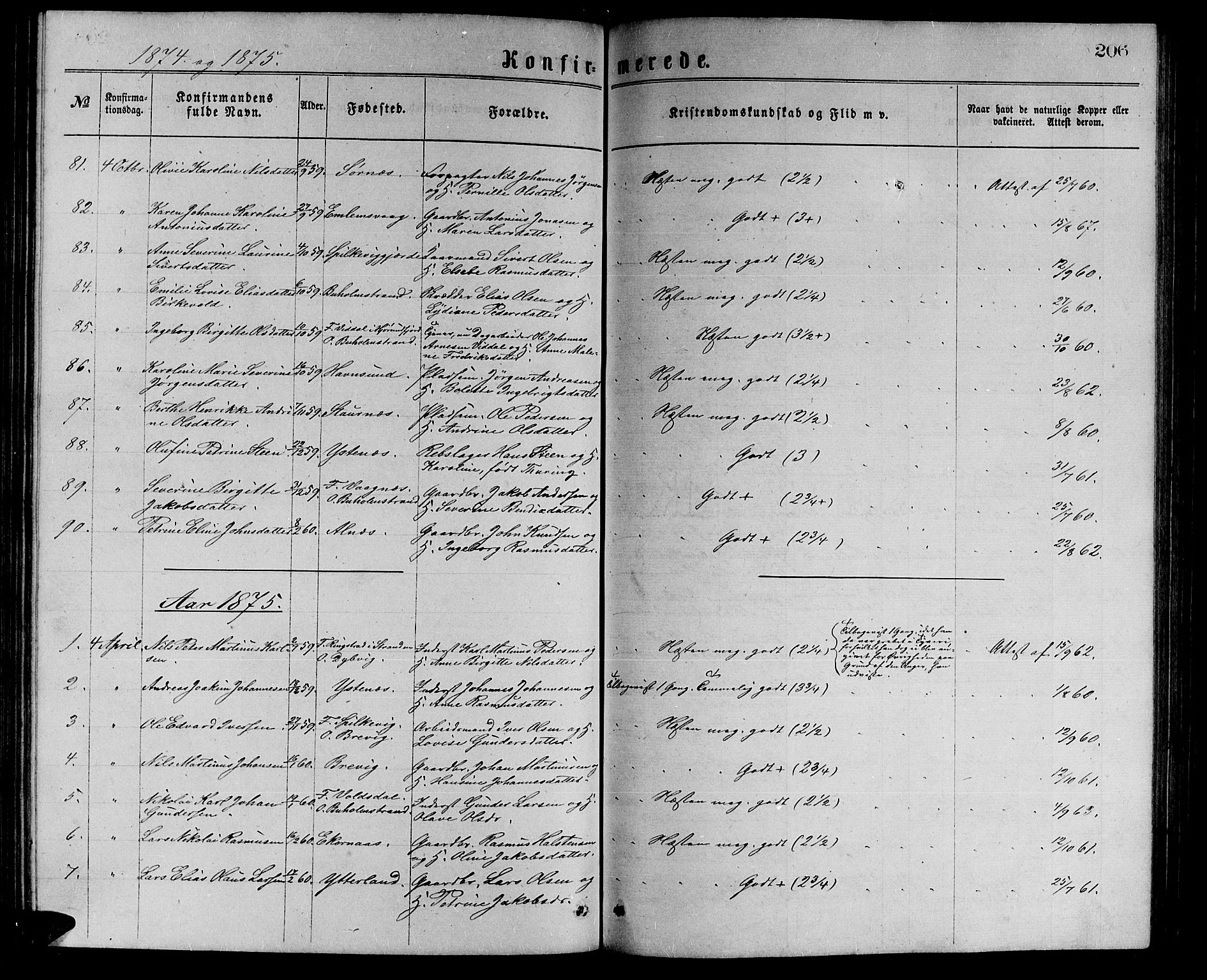 Ministerialprotokoller, klokkerbøker og fødselsregistre - Møre og Romsdal, AV/SAT-A-1454/528/L0429: Parish register (copy) no. 528C10, 1872-1886, p. 206