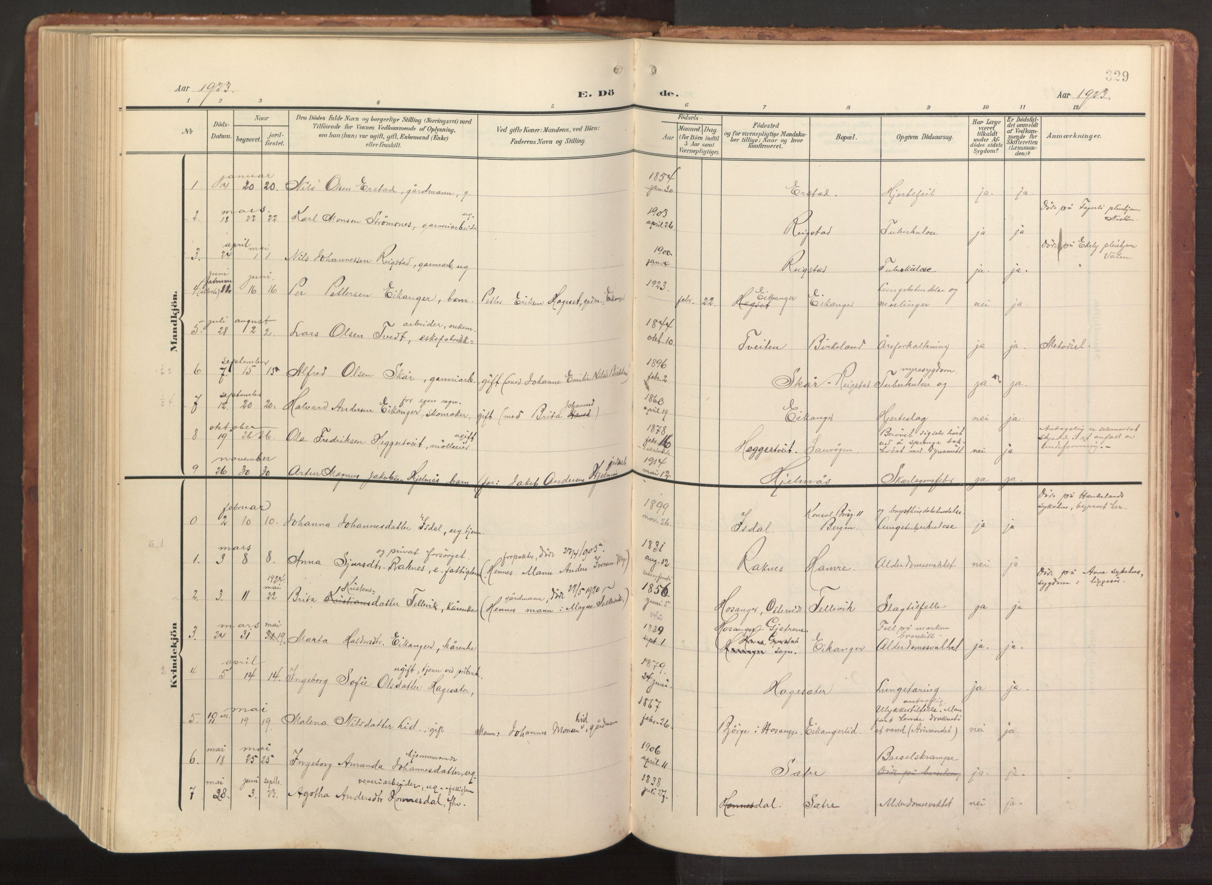 Hamre sokneprestembete, AV/SAB-A-75501/H/Ha/Haa/Haab/L0002: Parish register (official) no. B 2, 1905-1924, p. 329