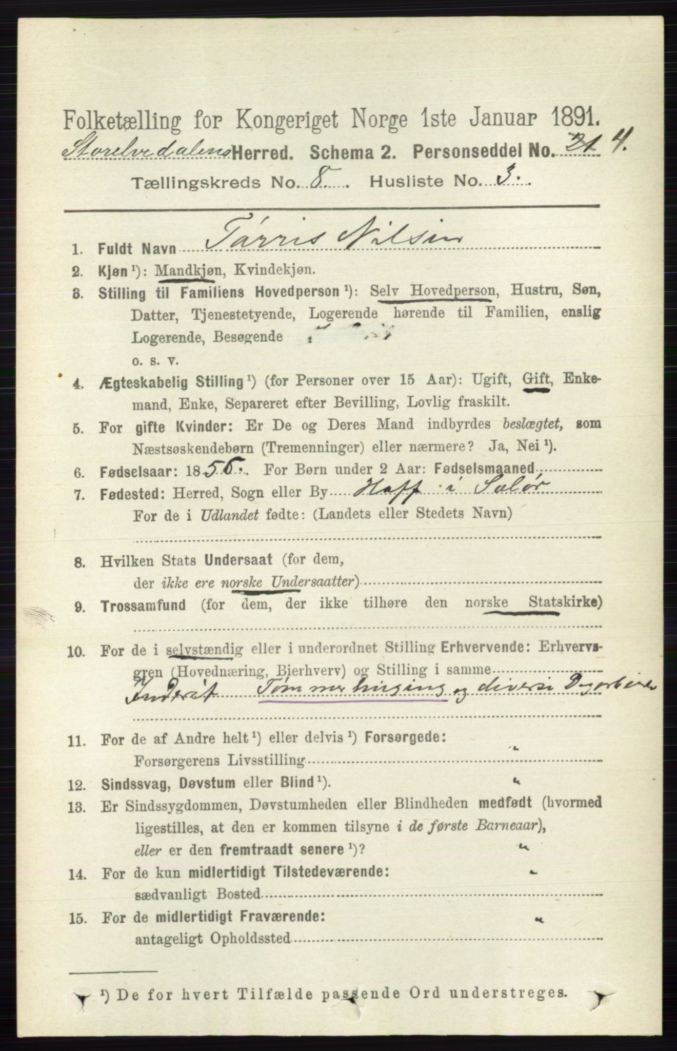 RA, 1891 census for 0430 Stor-Elvdal, 1891, p. 3463