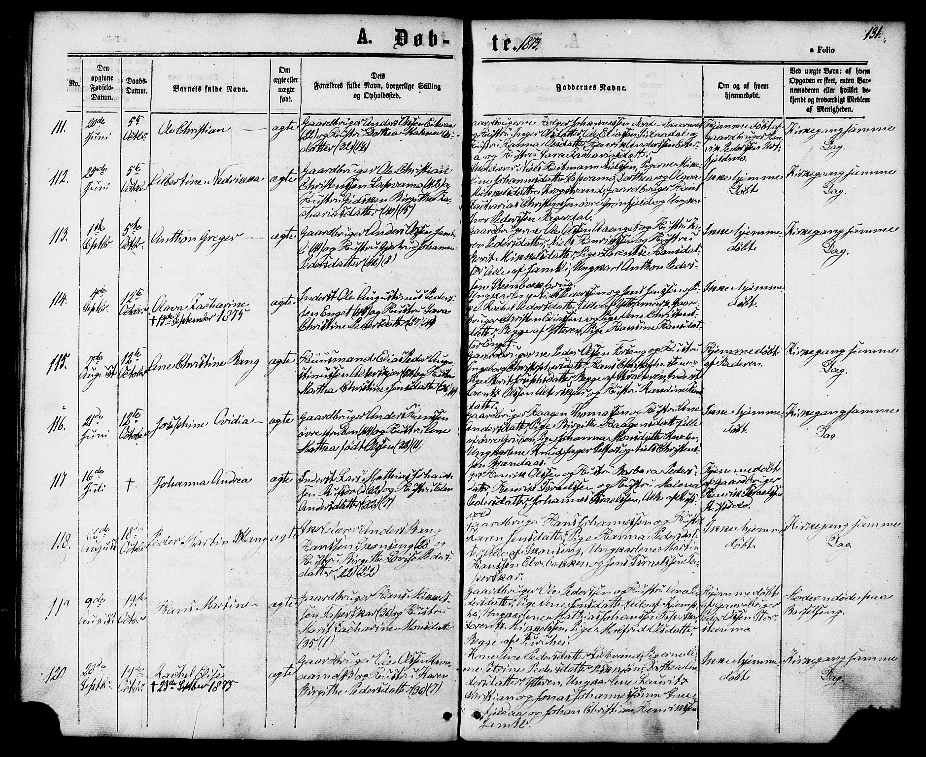 Ministerialprotokoller, klokkerbøker og fødselsregistre - Nordland, AV/SAT-A-1459/827/L0393: Parish register (official) no. 827A05, 1863-1883, p. 131