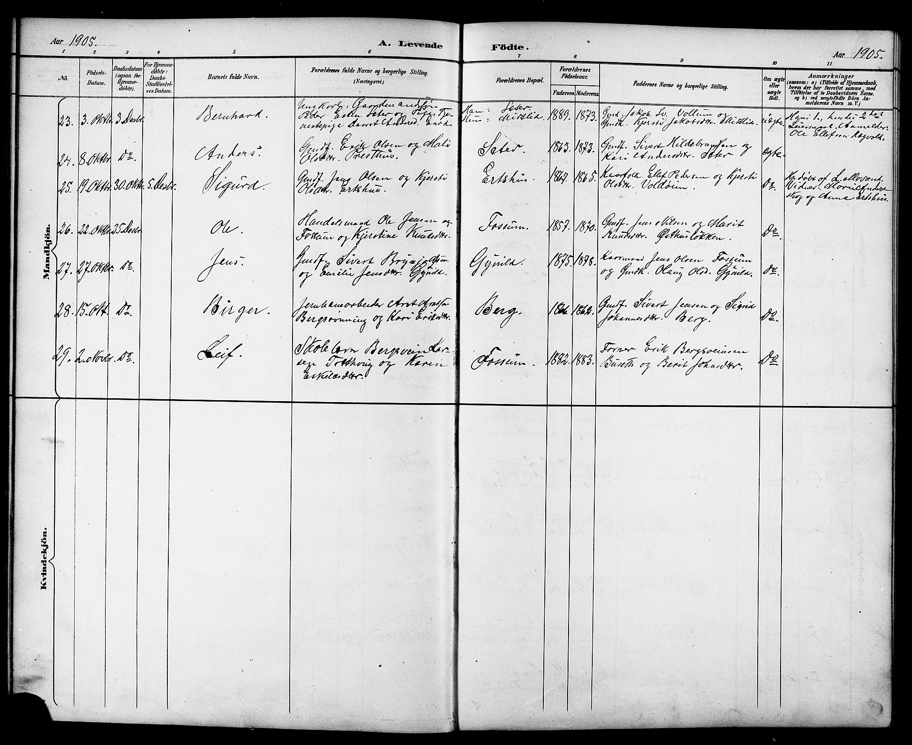 Ministerialprotokoller, klokkerbøker og fødselsregistre - Sør-Trøndelag, SAT/A-1456/689/L1044: Parish register (copy) no. 689C03, 1893-1922