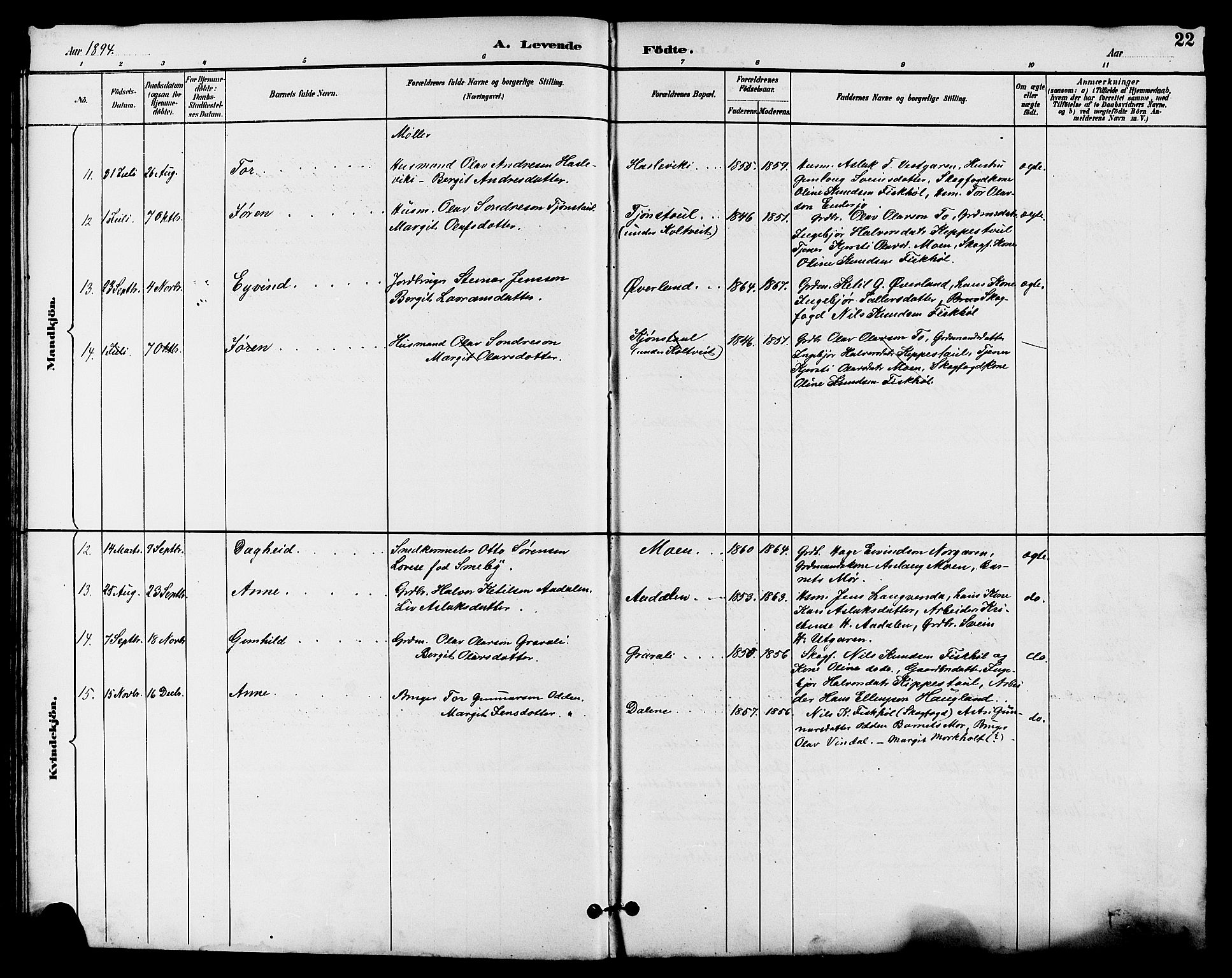Seljord kirkebøker, AV/SAKO-A-20/G/Ga/L0005: Parish register (copy) no. I 5, 1887-1914, p. 22