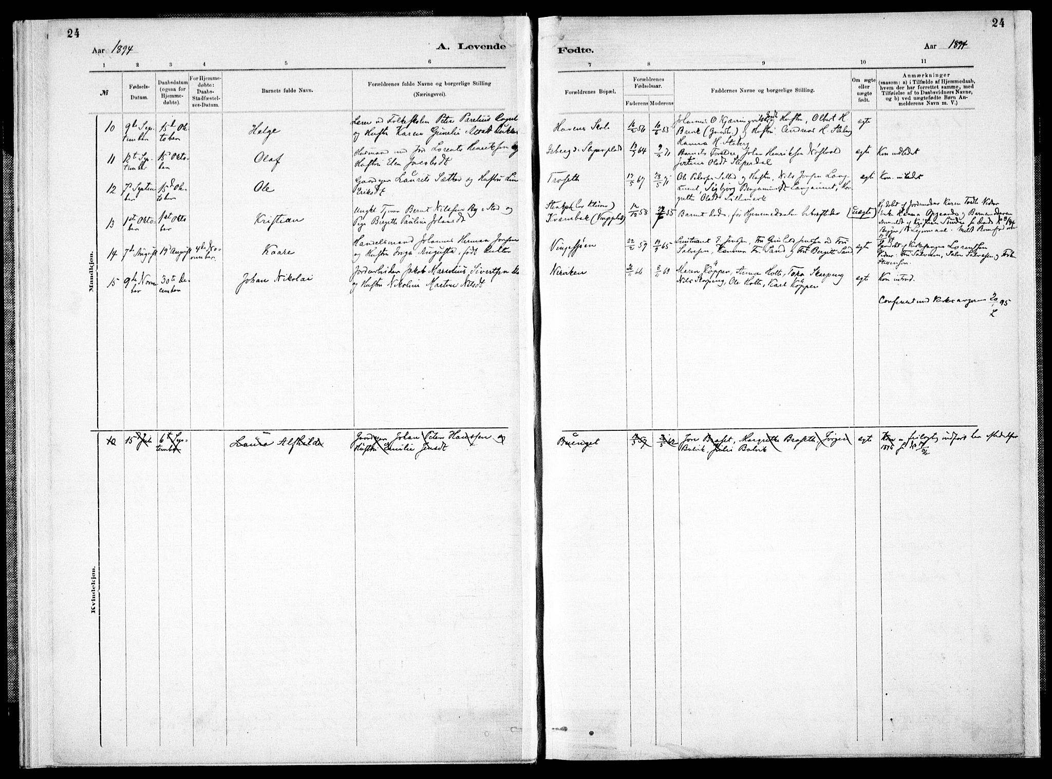 Ministerialprotokoller, klokkerbøker og fødselsregistre - Nord-Trøndelag, AV/SAT-A-1458/733/L0325: Parish register (official) no. 733A04, 1884-1908, p. 24