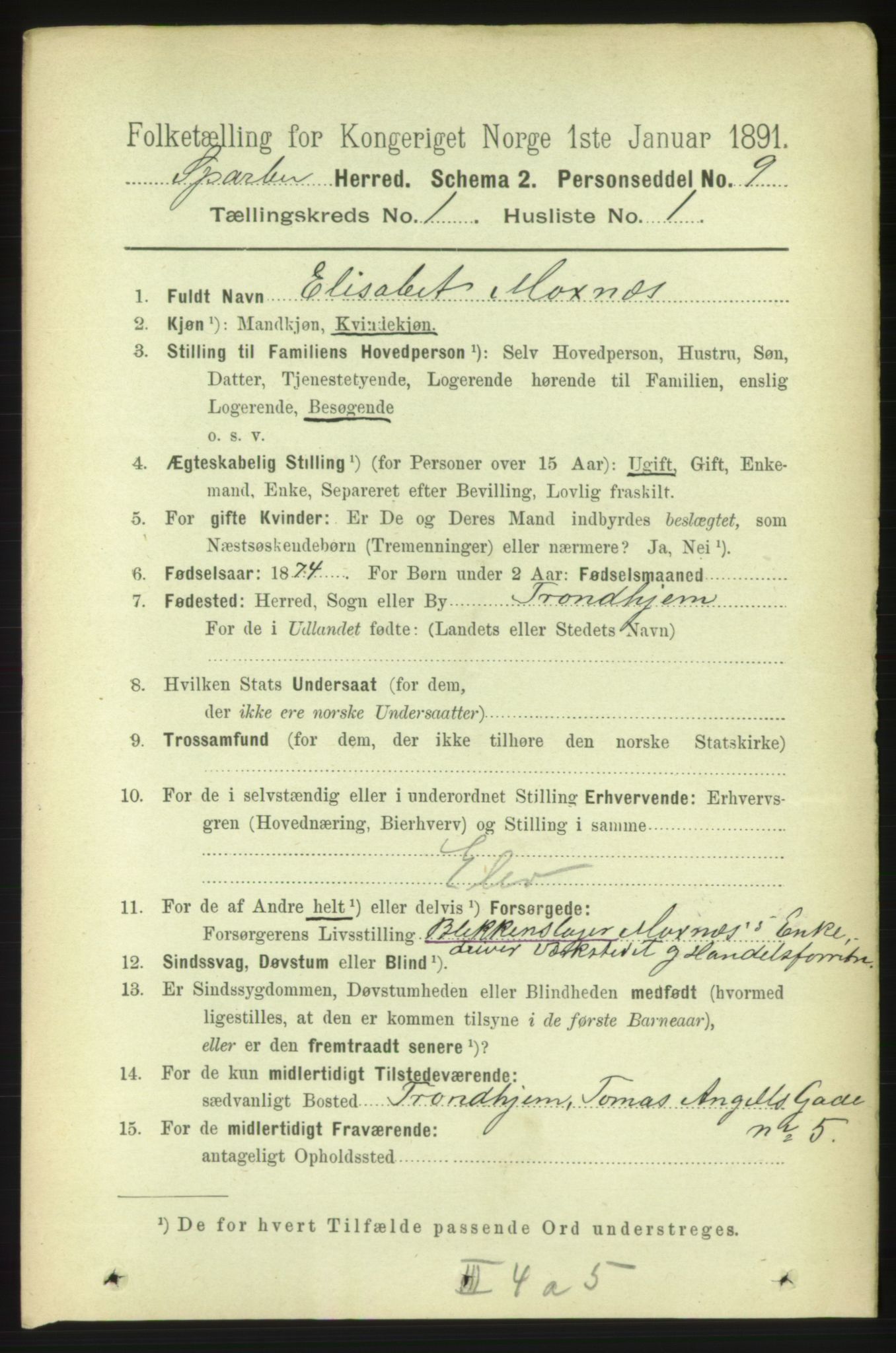 RA, 1891 census for 1731 Sparbu, 1891, p. 126