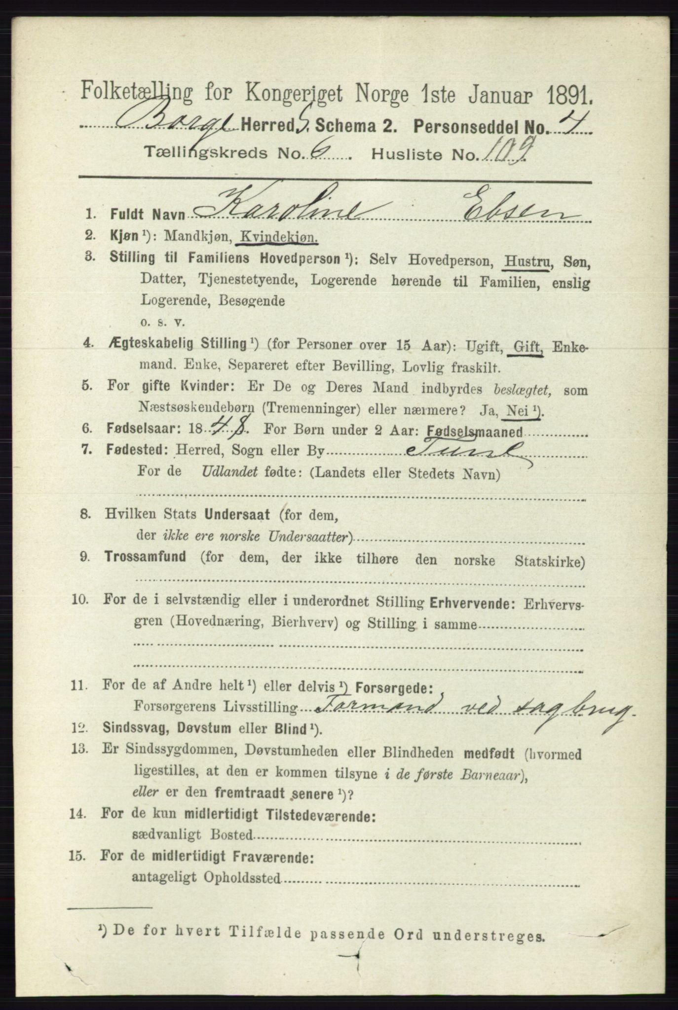 RA, 1891 census for 0113 Borge, 1891, p. 3876