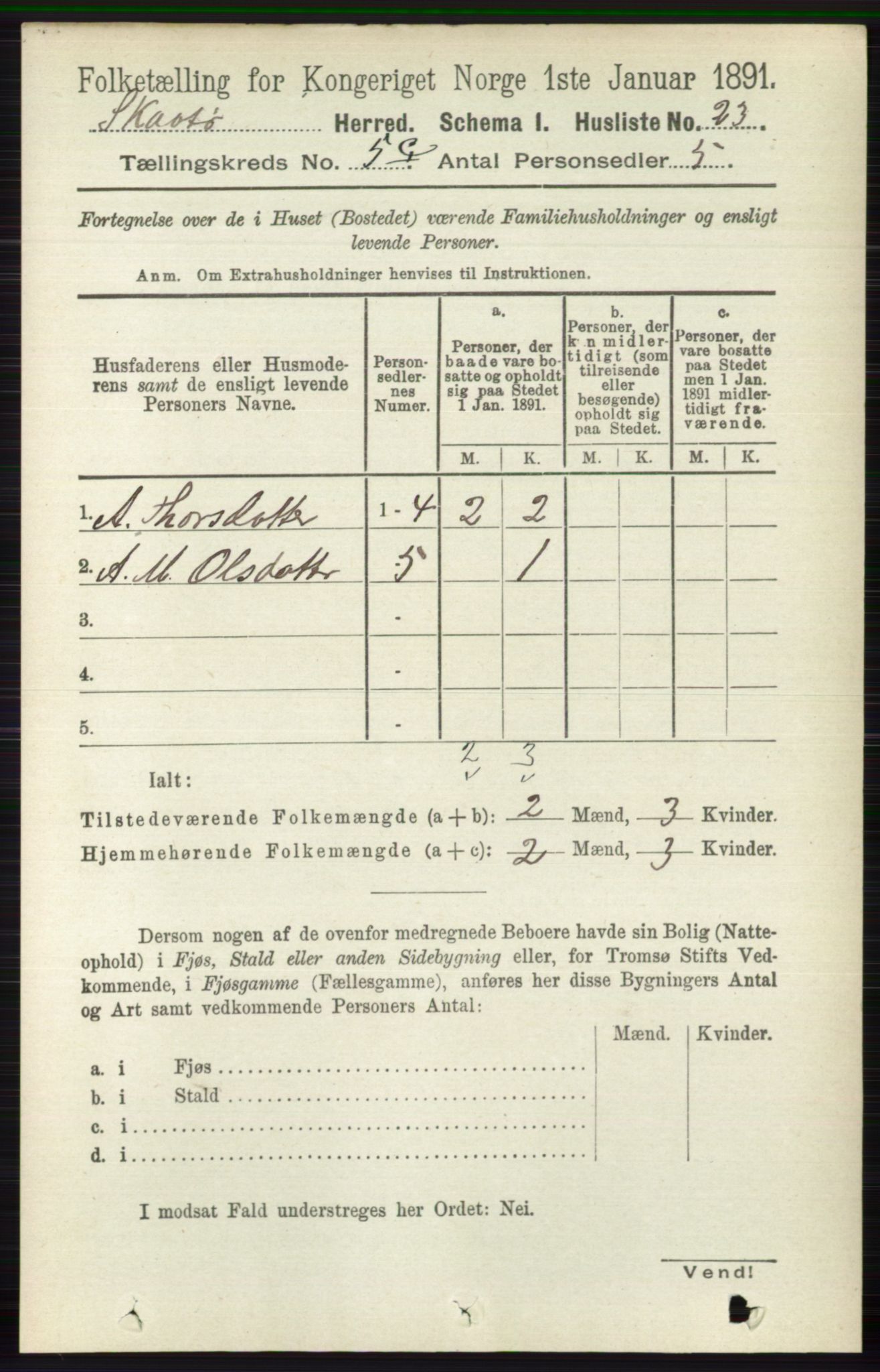 RA, 1891 census for 0815 Skåtøy, 1891, p. 2658