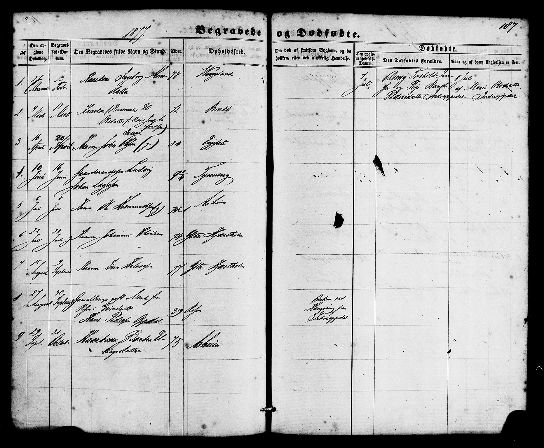 Gulen sokneprestembete, SAB/A-80201/H/Haa/Haac/L0001: Parish register (official) no. C 1, 1859-1881, p. 187