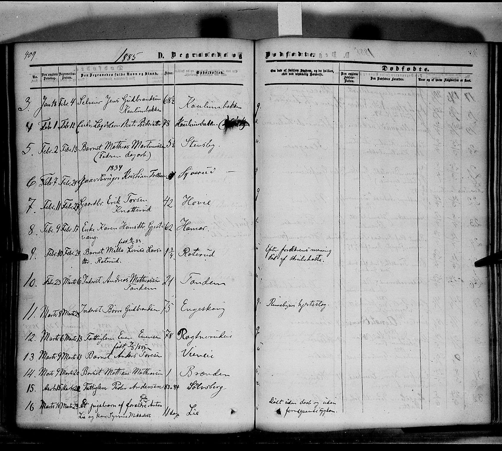 Nes prestekontor, Hedmark, SAH/PREST-020/K/Ka/L0004: Parish register (official) no. 4, 1852-1886, p. 409