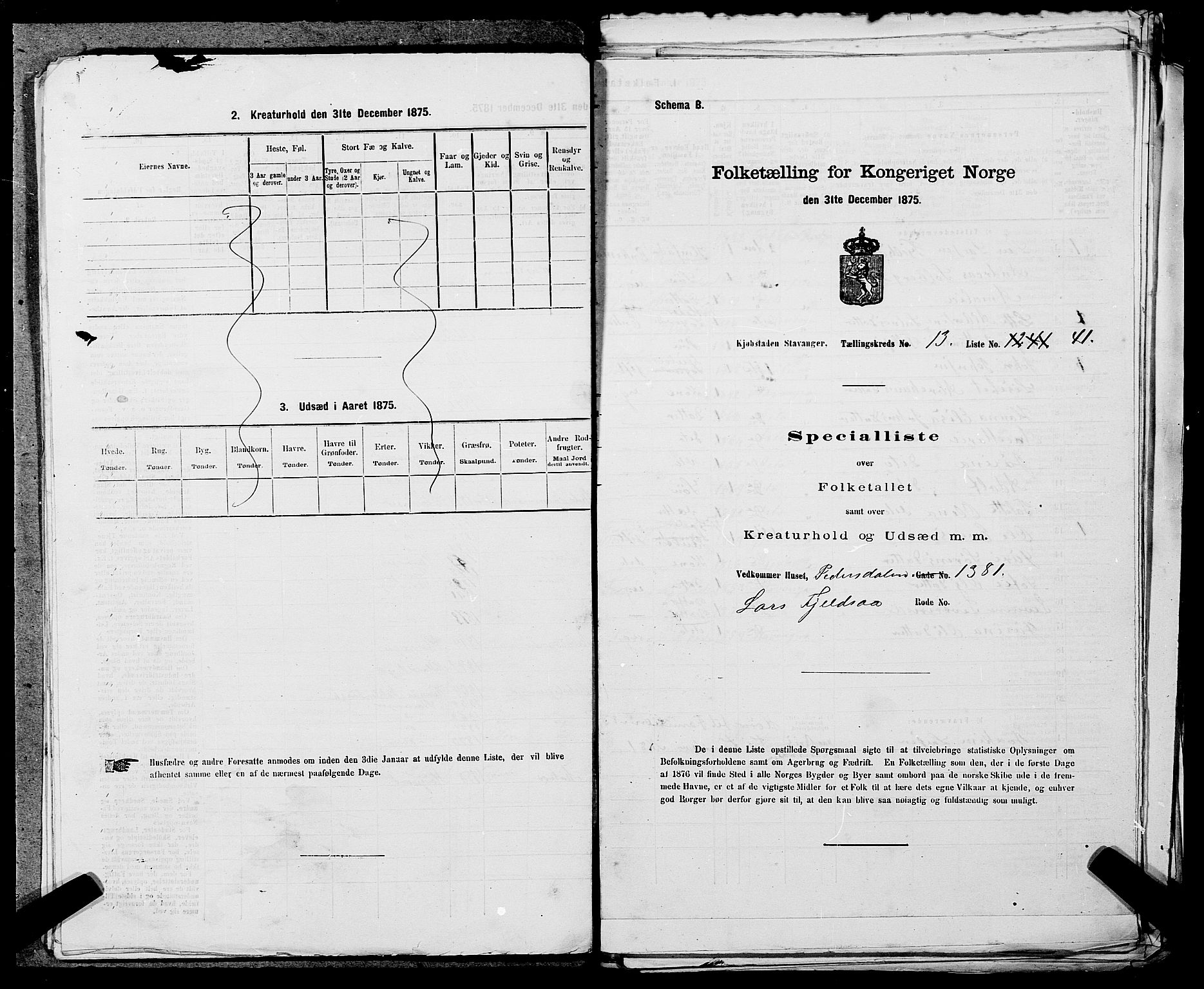 SAST, 1875 census for 1103 Stavanger, 1875, p. 2595