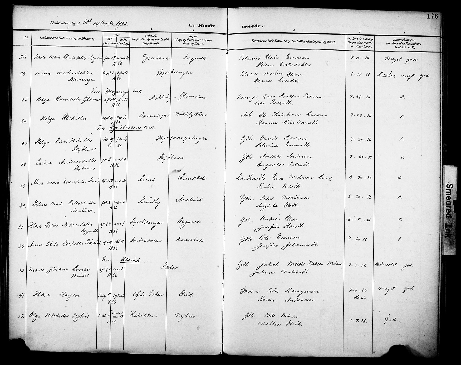 Vestre Toten prestekontor, SAH/PREST-108/H/Ha/Haa/L0013: Parish register (official) no. 13, 1895-1911, p. 176