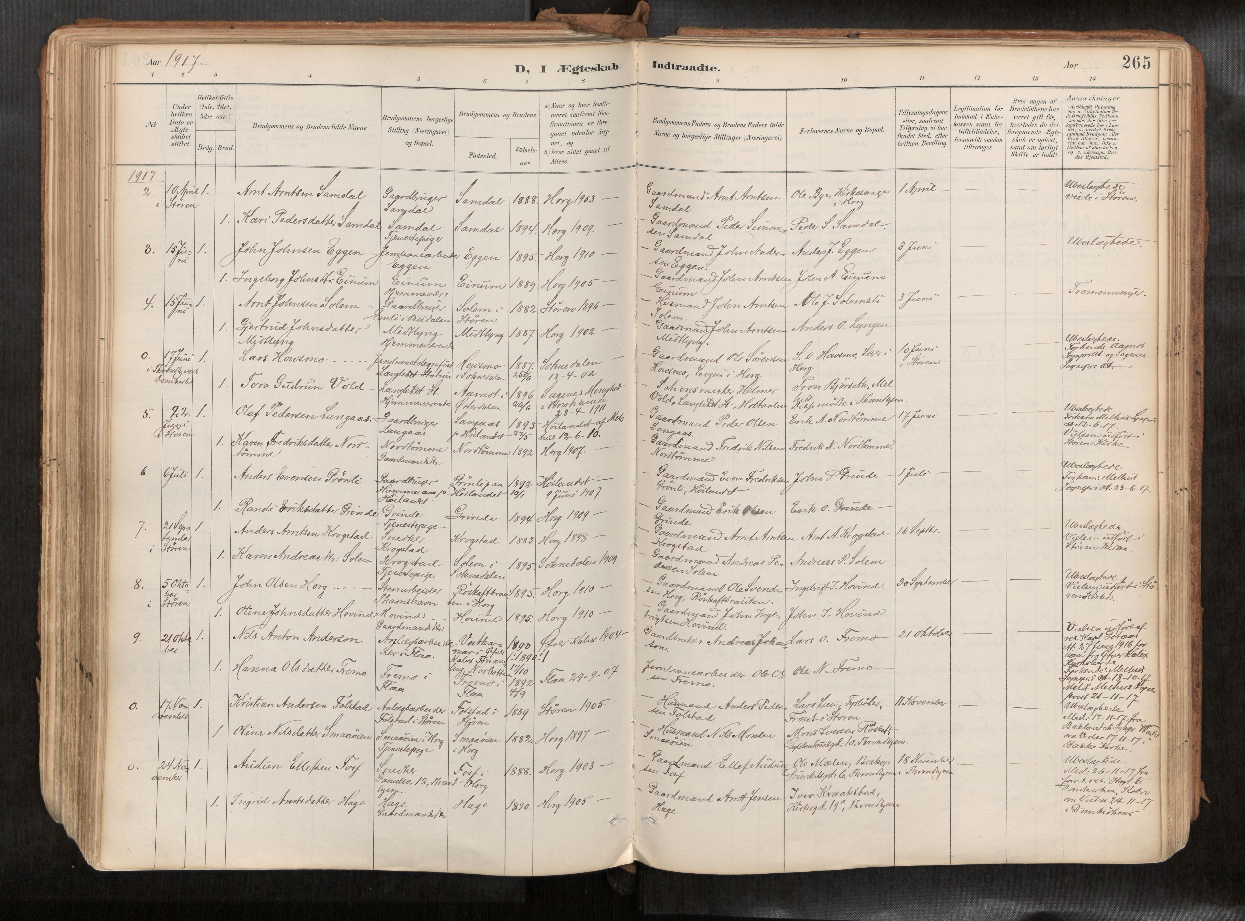 Ministerialprotokoller, klokkerbøker og fødselsregistre - Sør-Trøndelag, AV/SAT-A-1456/692/L1105b: Parish register (official) no. 692A06, 1891-1934, p. 265