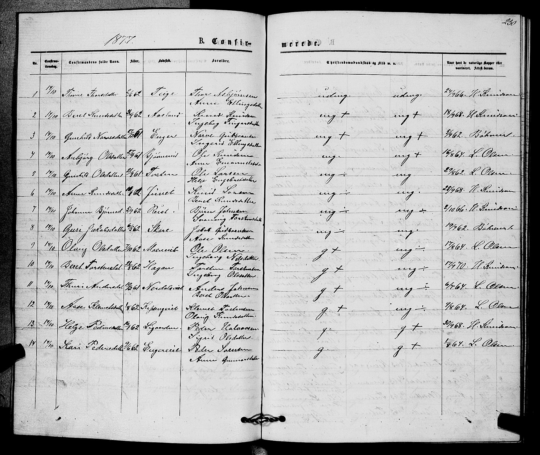 Sigdal kirkebøker, AV/SAKO-A-245/G/Gb/L0002: Parish register (copy) no. II 2, 1875-1900, p. 230