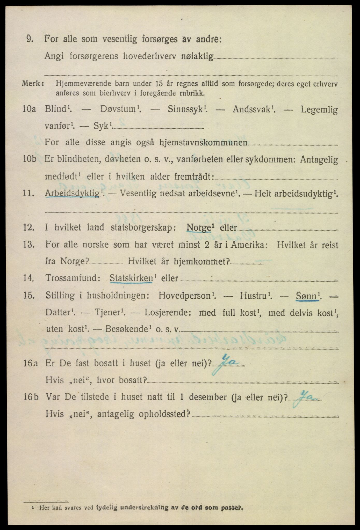 SAK, 1920 census for Hornnes, 1920, p. 2900
