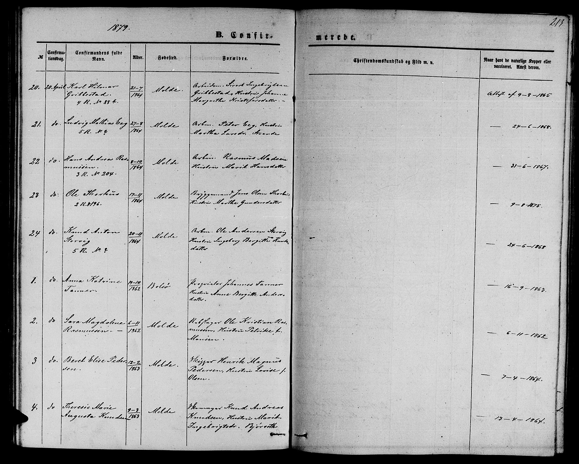 Ministerialprotokoller, klokkerbøker og fødselsregistre - Møre og Romsdal, AV/SAT-A-1454/558/L0701: Parish register (copy) no. 558C02, 1862-1879, p. 213