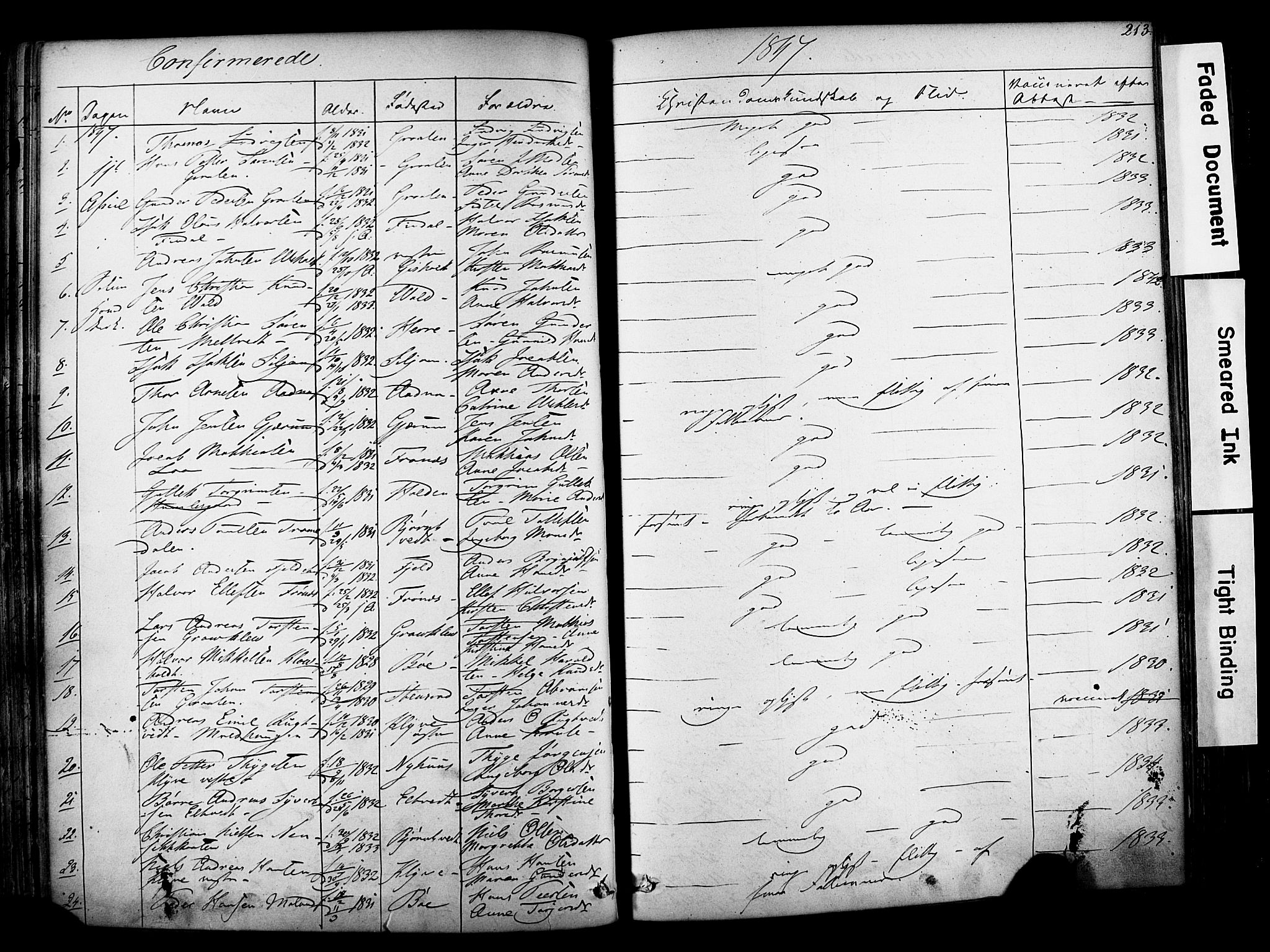 Solum kirkebøker, SAKO/A-306/F/Fa/L0006: Parish register (official) no. I 6, 1844-1855, p. 213