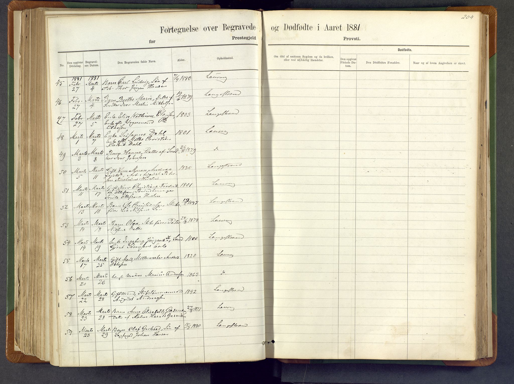 Larvik kirkebøker, AV/SAKO-A-352/F/Fa/L0007: Parish register (official) no. I 7, 1871-1883, p. 204