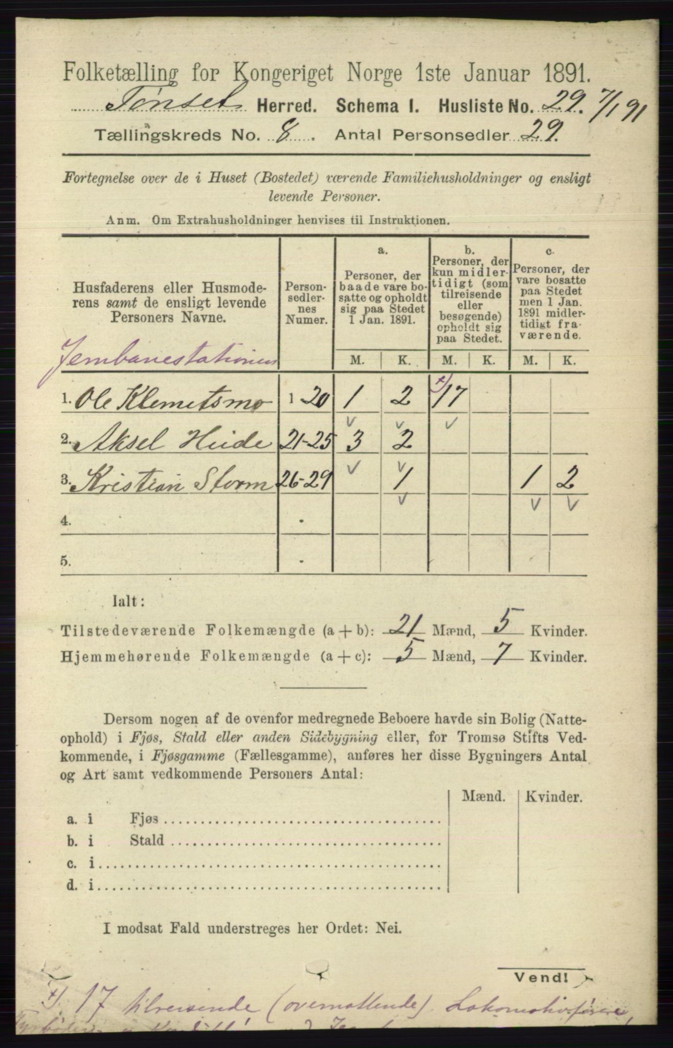 RA, 1891 census for 0437 Tynset, 1891, p. 2065