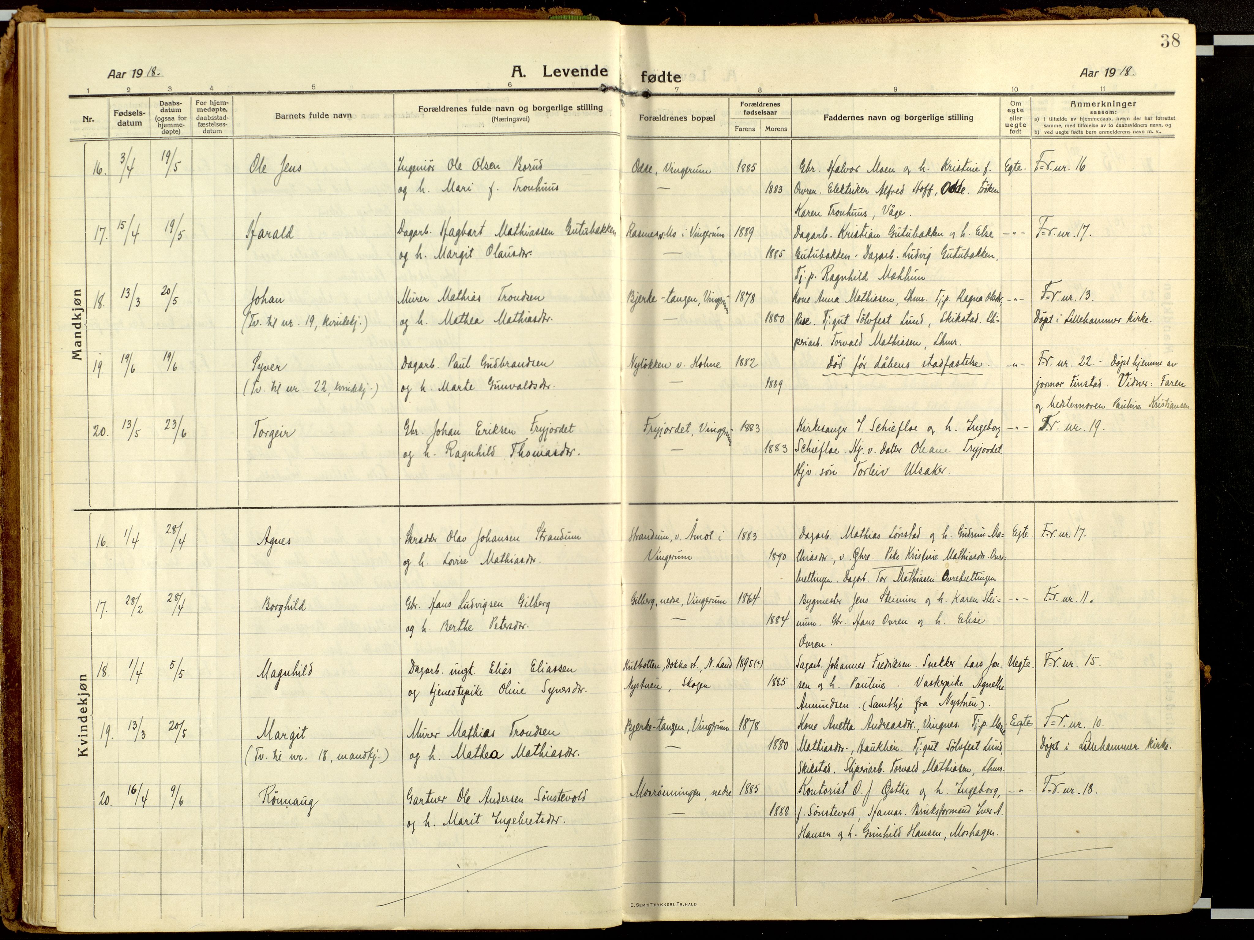 Fåberg prestekontor, AV/SAH-PREST-086/H/Ha/Haa/L0013: Parish register (official) no. 13, 1913-1928, p. 38