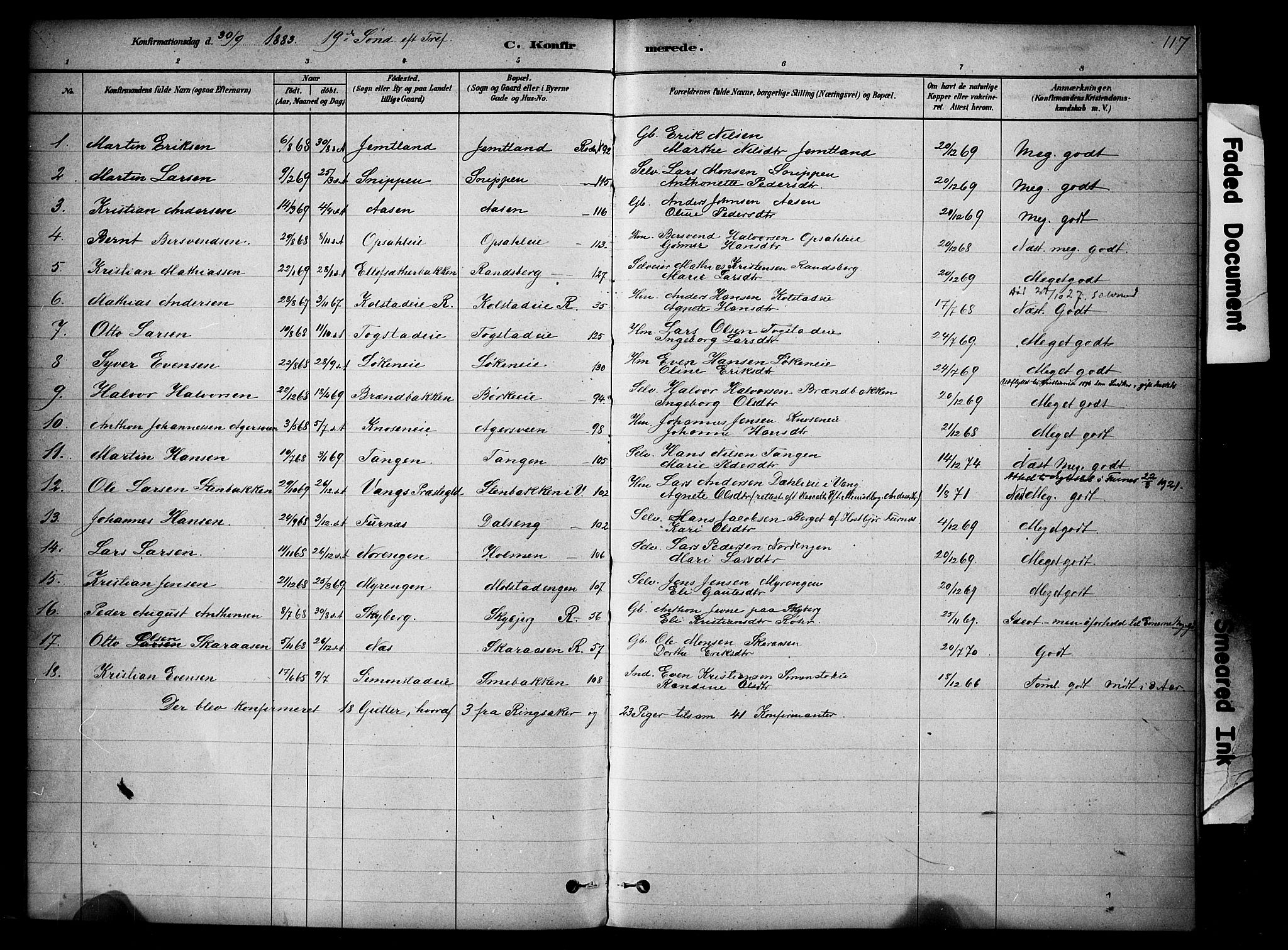 Ringsaker prestekontor, AV/SAH-PREST-014/K/Ka/L0014: Parish register (official) no. 14, 1879-1890, p. 117