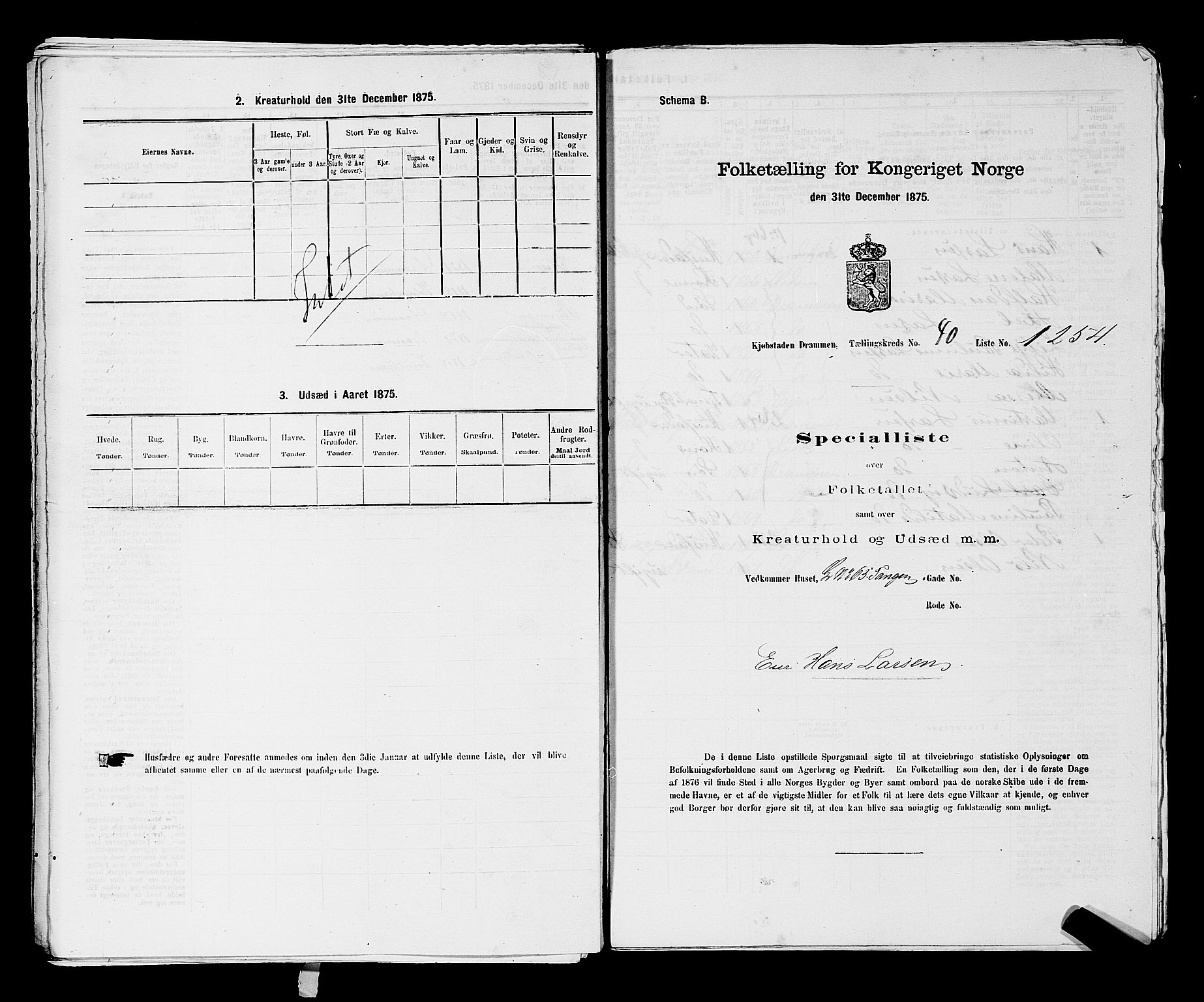 SAKO, 1875 census for 0602 Drammen, 1875, p. 3439