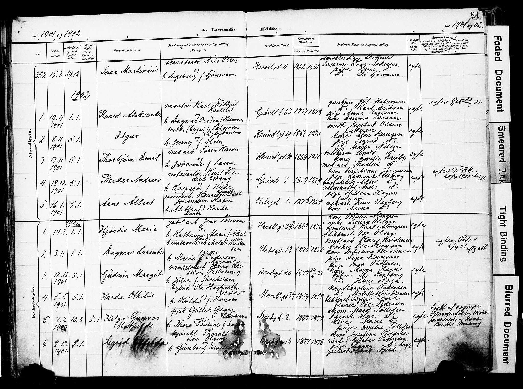 Grønland prestekontor Kirkebøker, AV/SAO-A-10848/F/Fa/L0014: Parish register (official) no. 14, 1900-1911, p. 81
