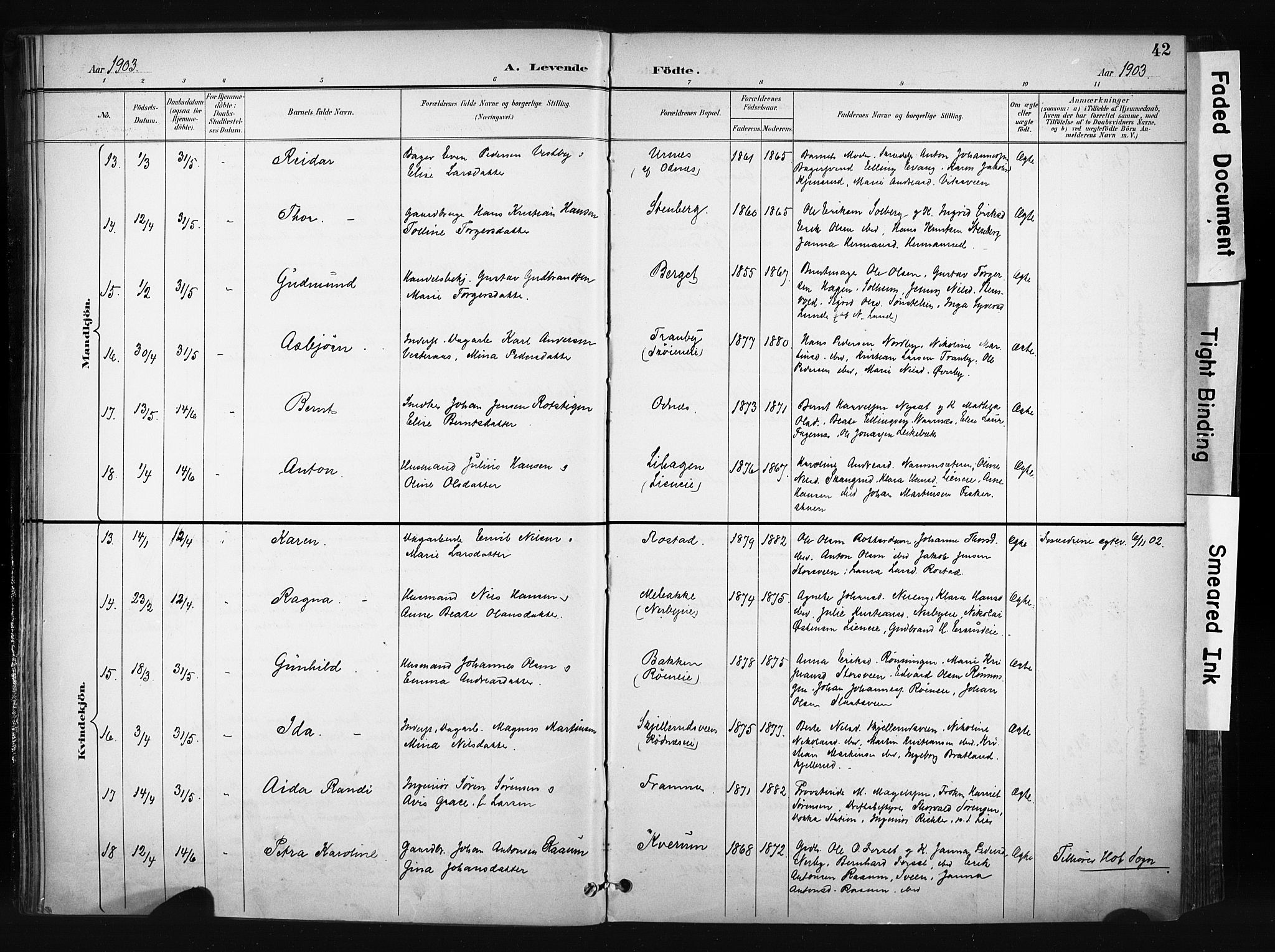 Søndre Land prestekontor, AV/SAH-PREST-122/K/L0004: Parish register (official) no. 4, 1895-1904, p. 42